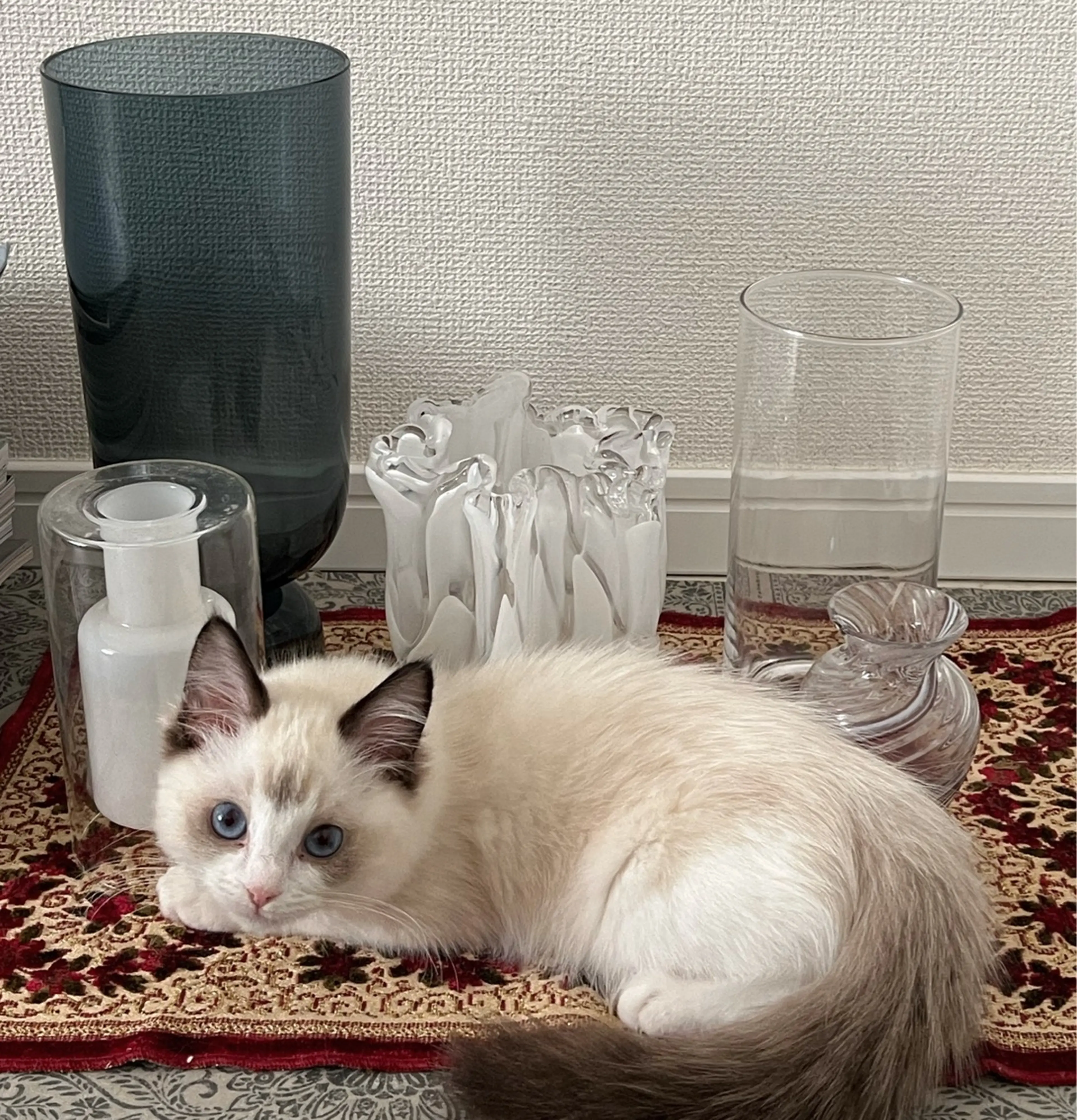 nail salon yoiの内観・外観2