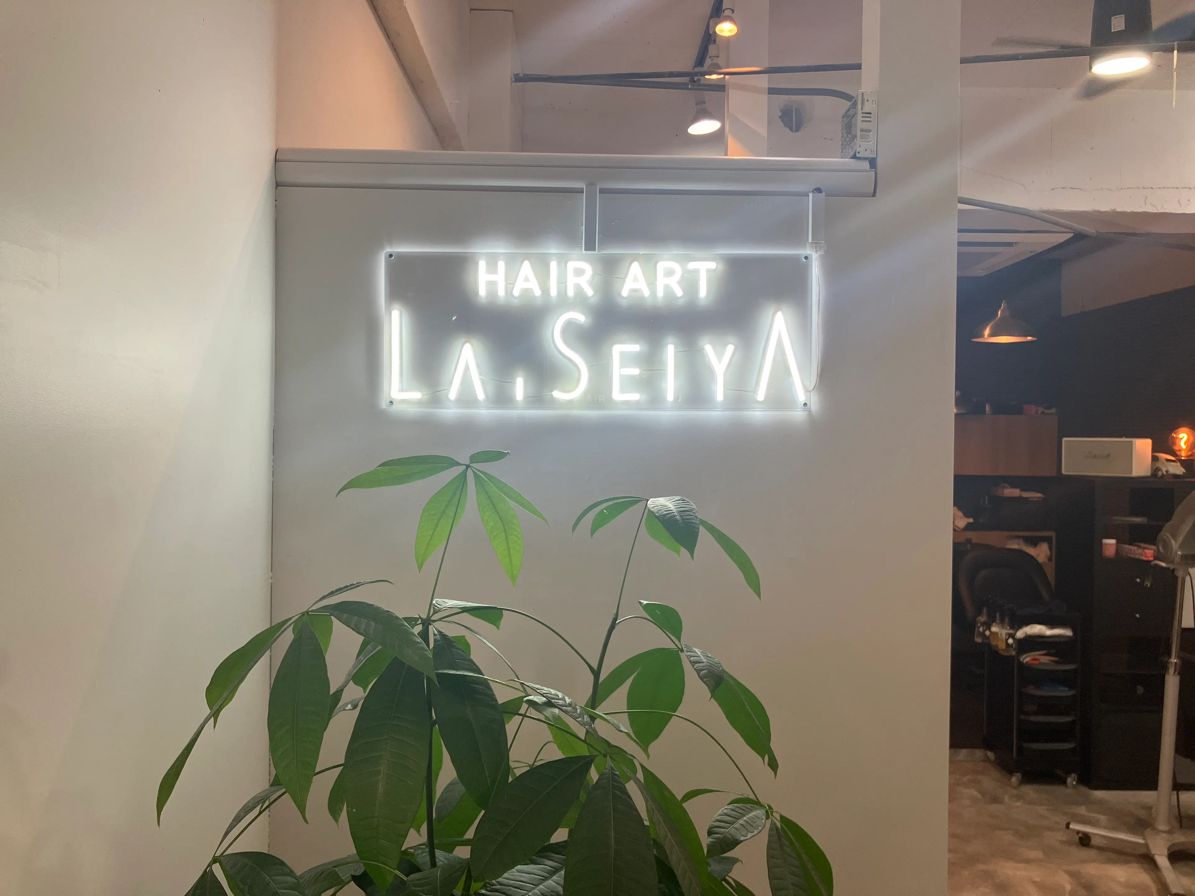 ラ・セイヤの内観・外観1