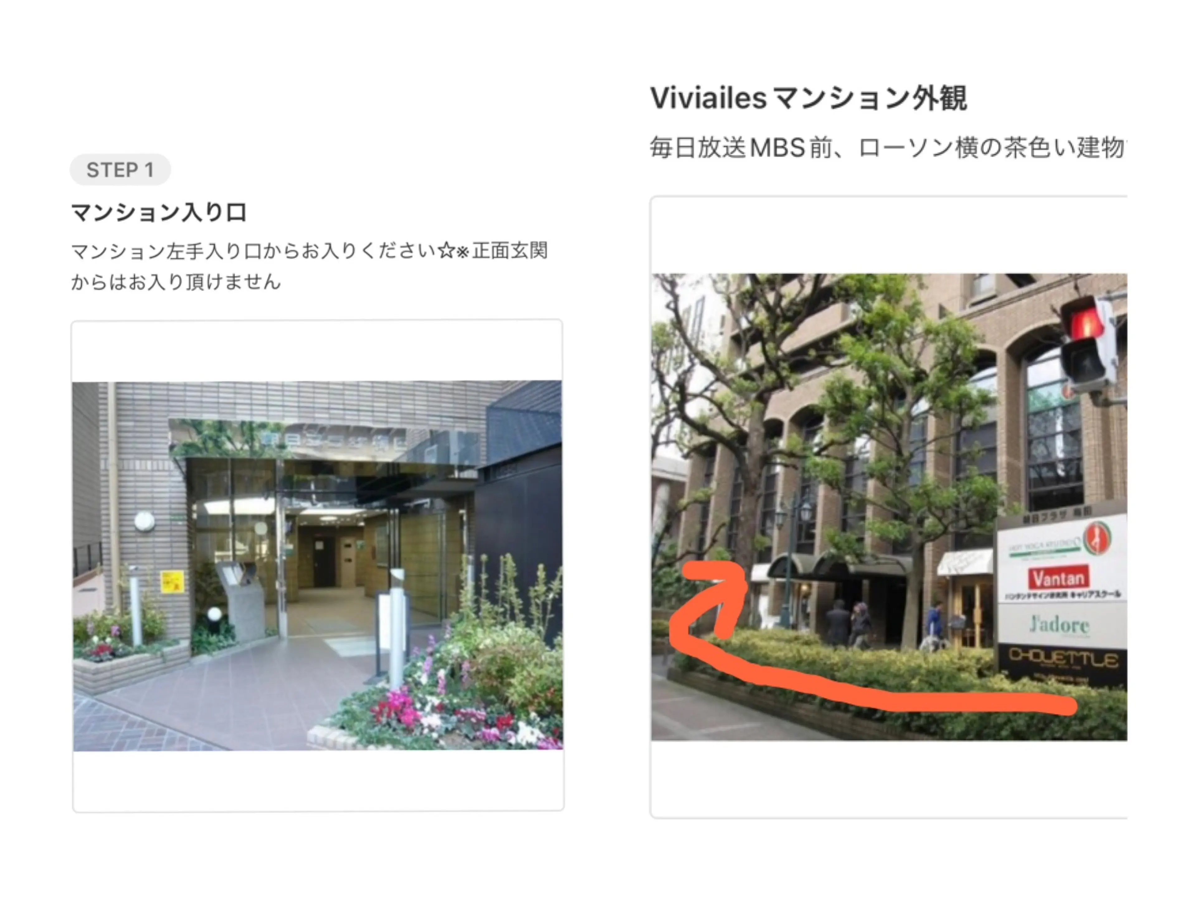 viviailesの内観・外観1