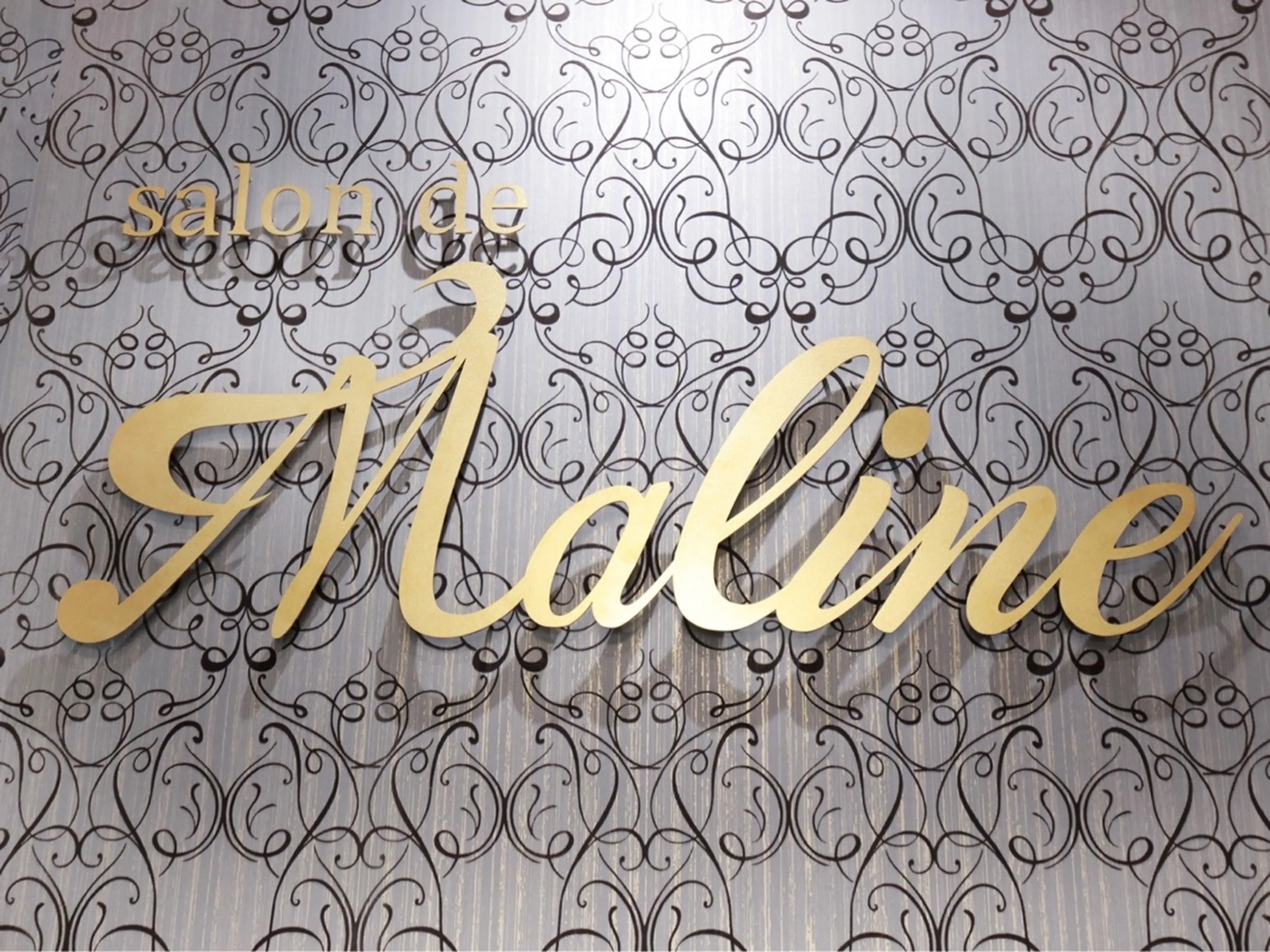 salon  de Malineの内観・外観1