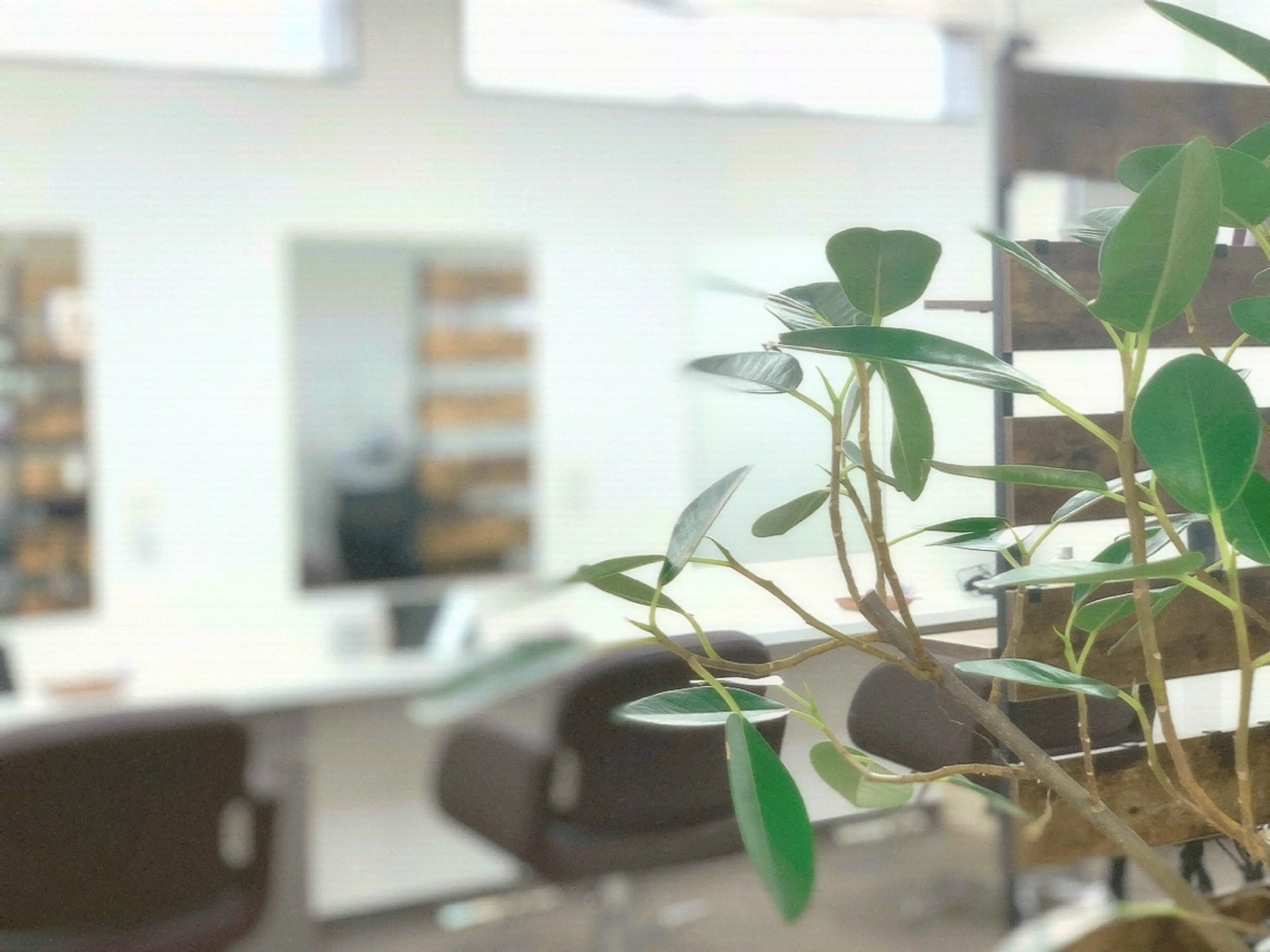 LOTUS beauty  salonの内観・外観2