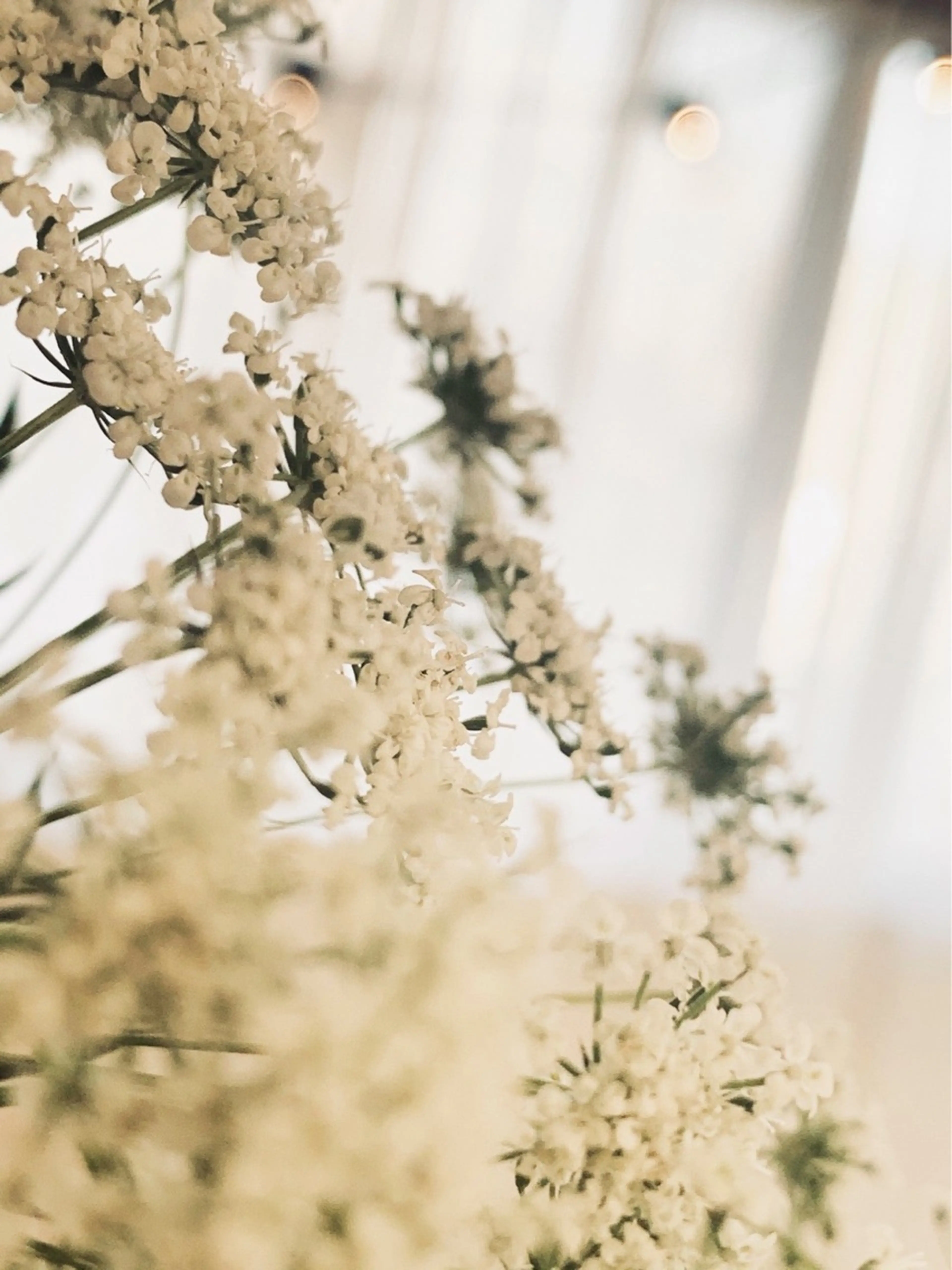 eyelashsalon -aimer-の内観・外観2