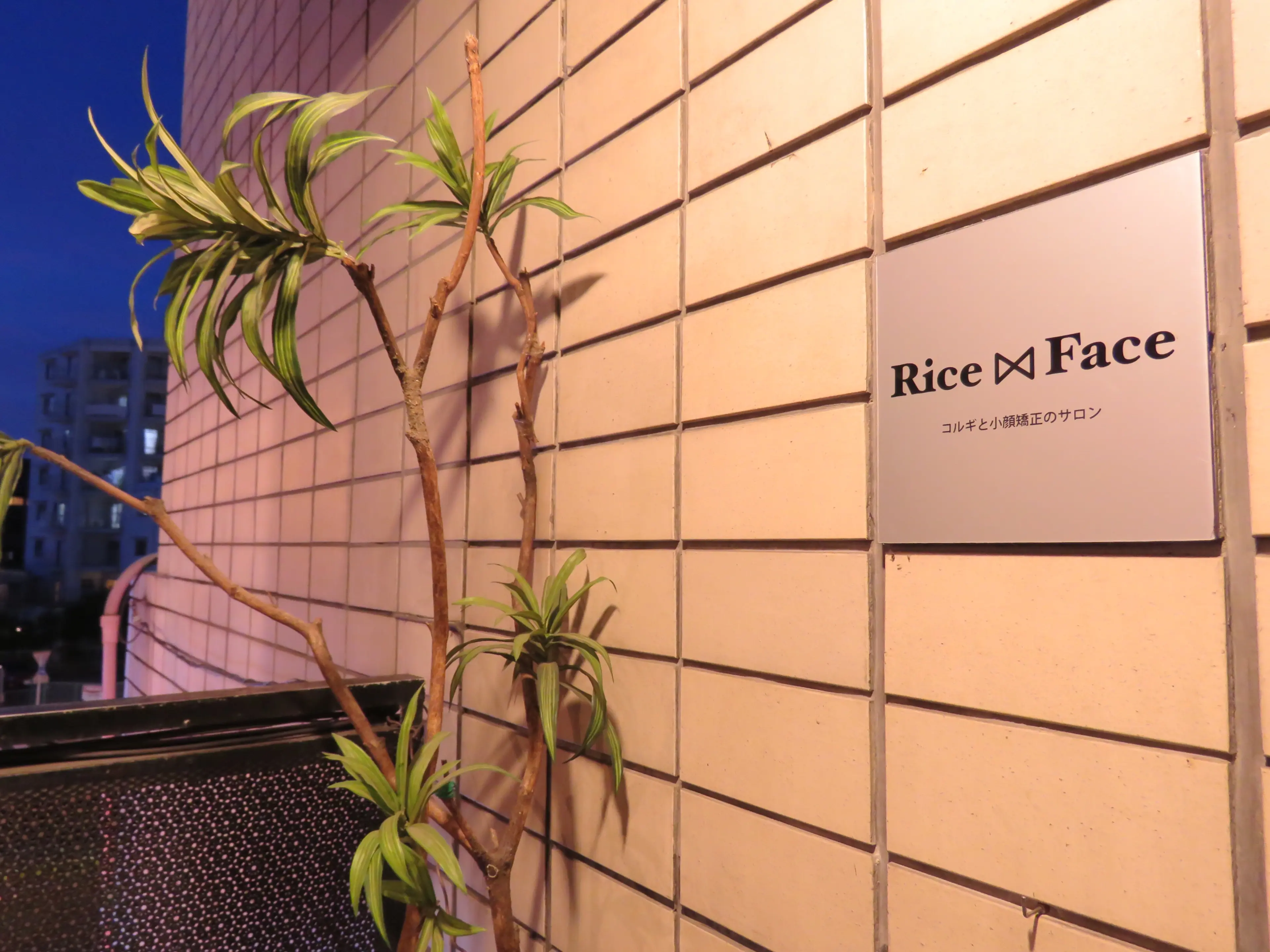 ライスフェイスの内観・外観1