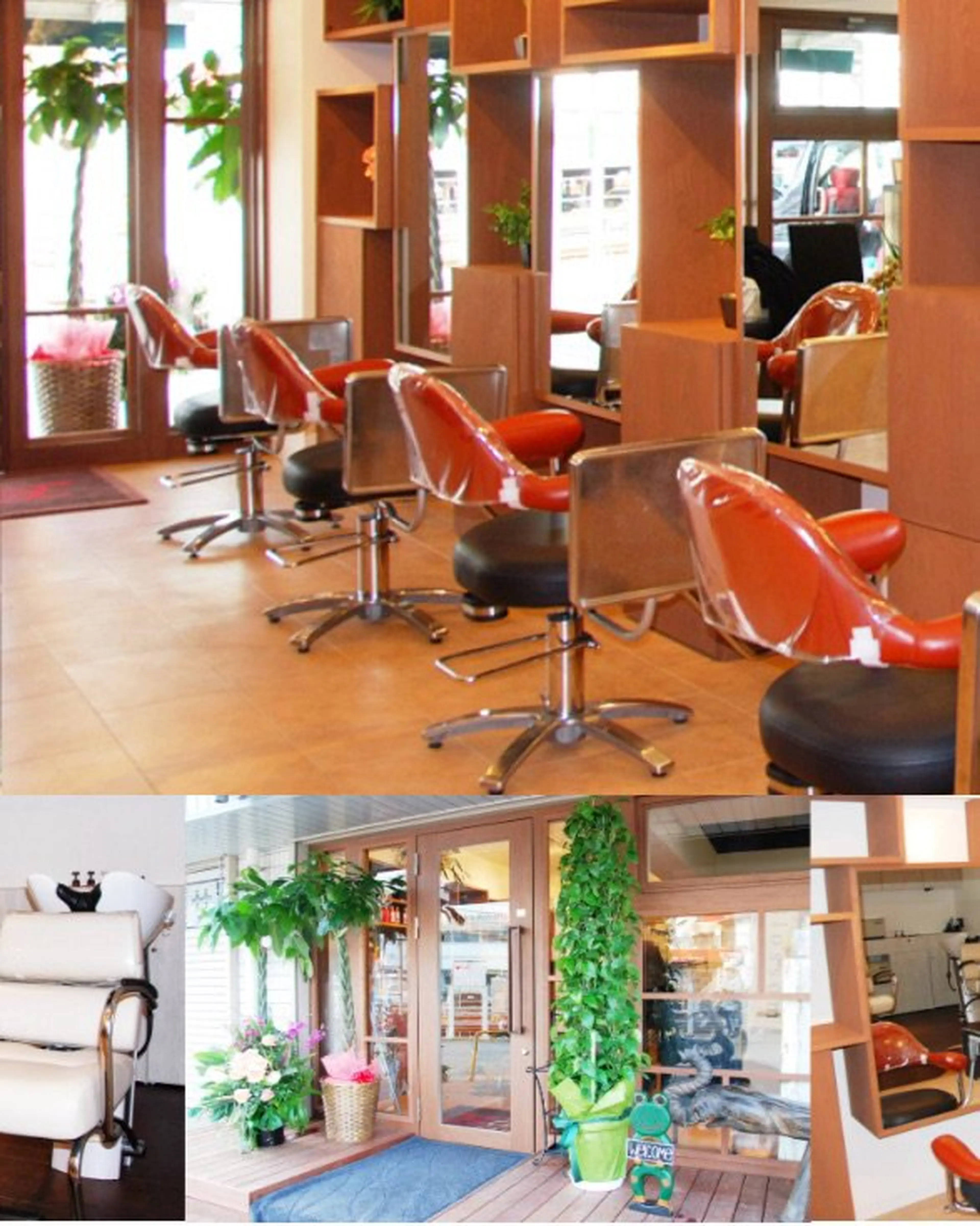 ブロッサム上板橋の内観・外観1