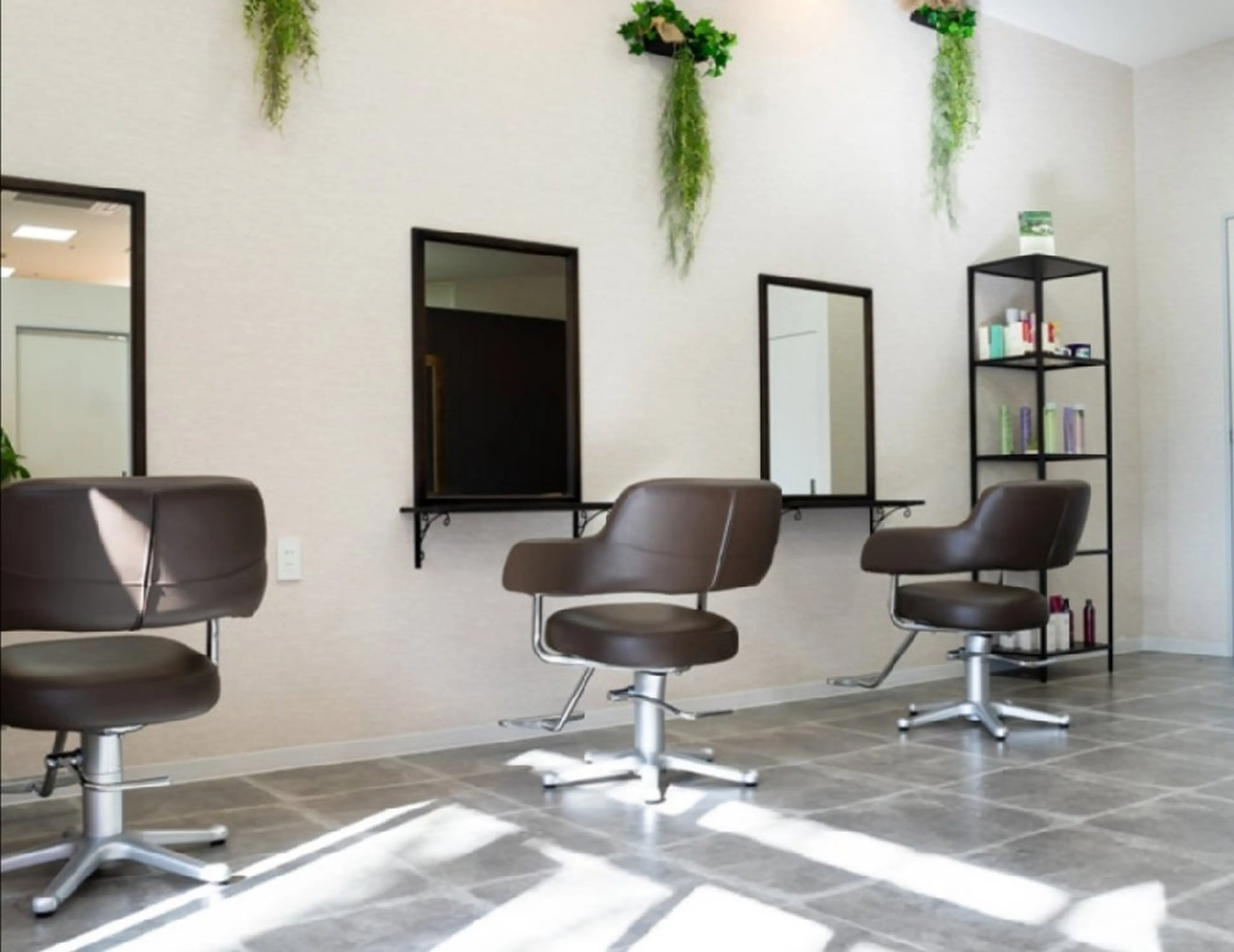 バセットバイアルターの内観・外観1