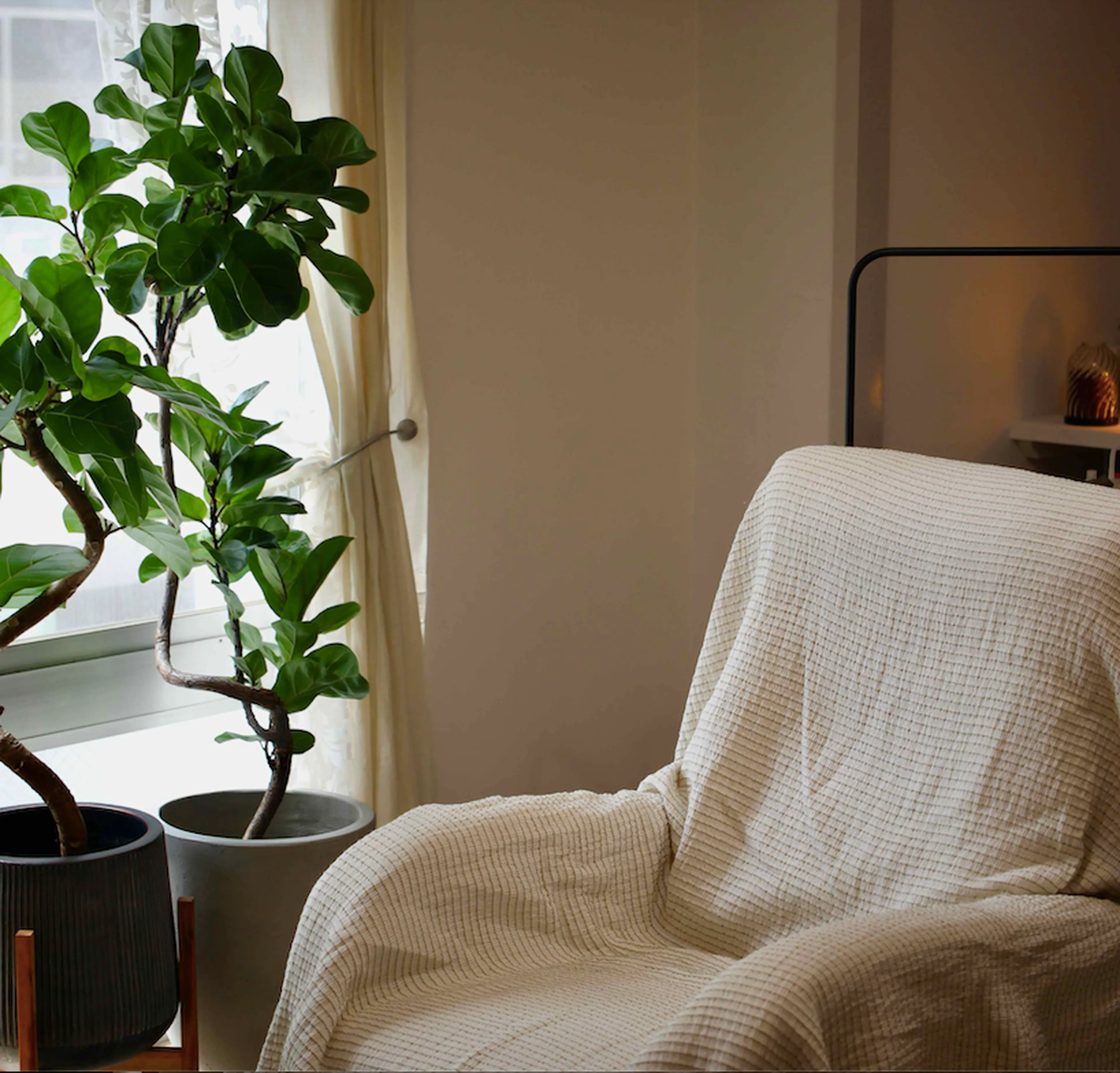 HAY eyelash&care ヘイアイラッシュアンドケアの内観・外観1