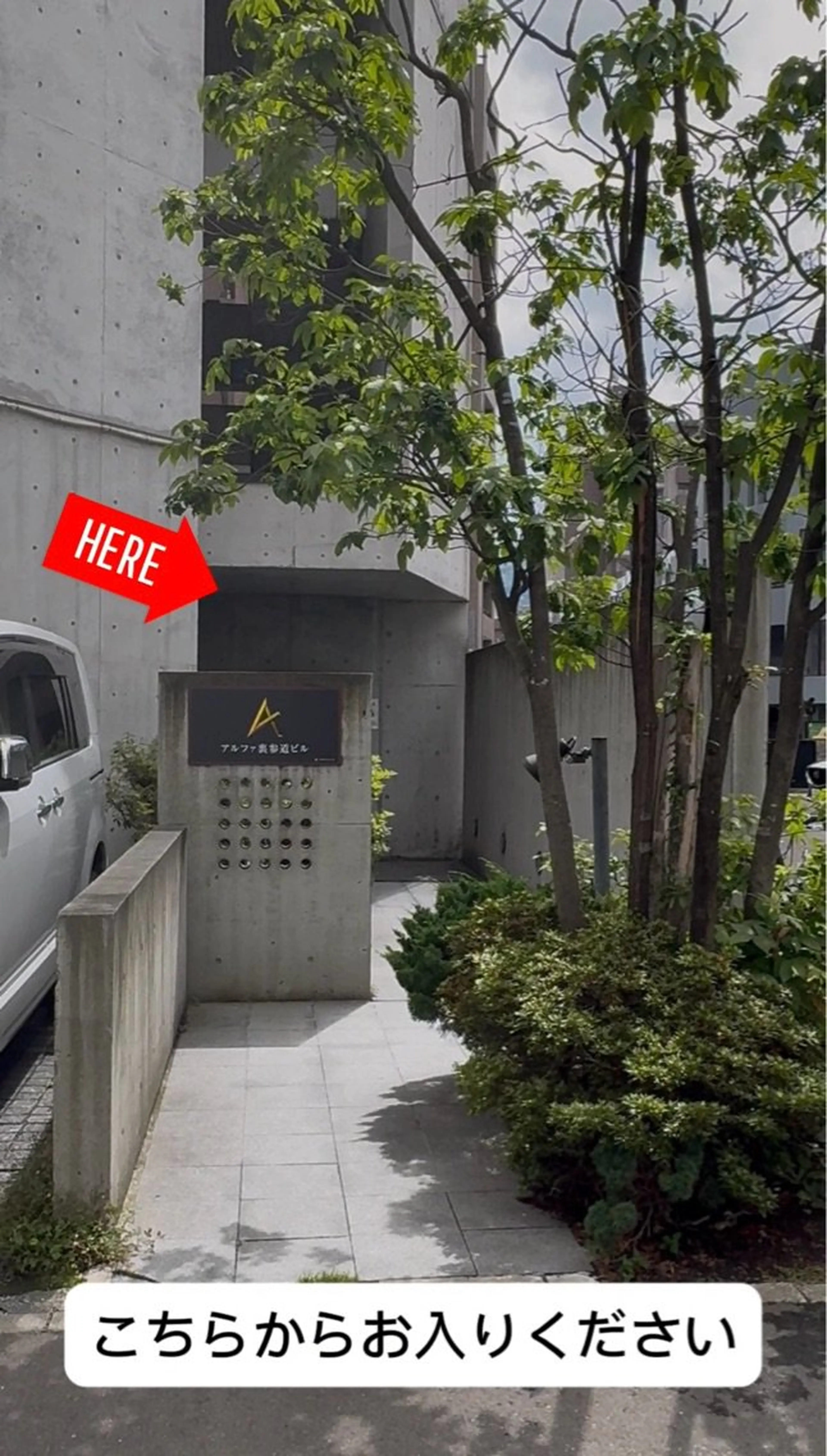 ALBAの内観・外観2