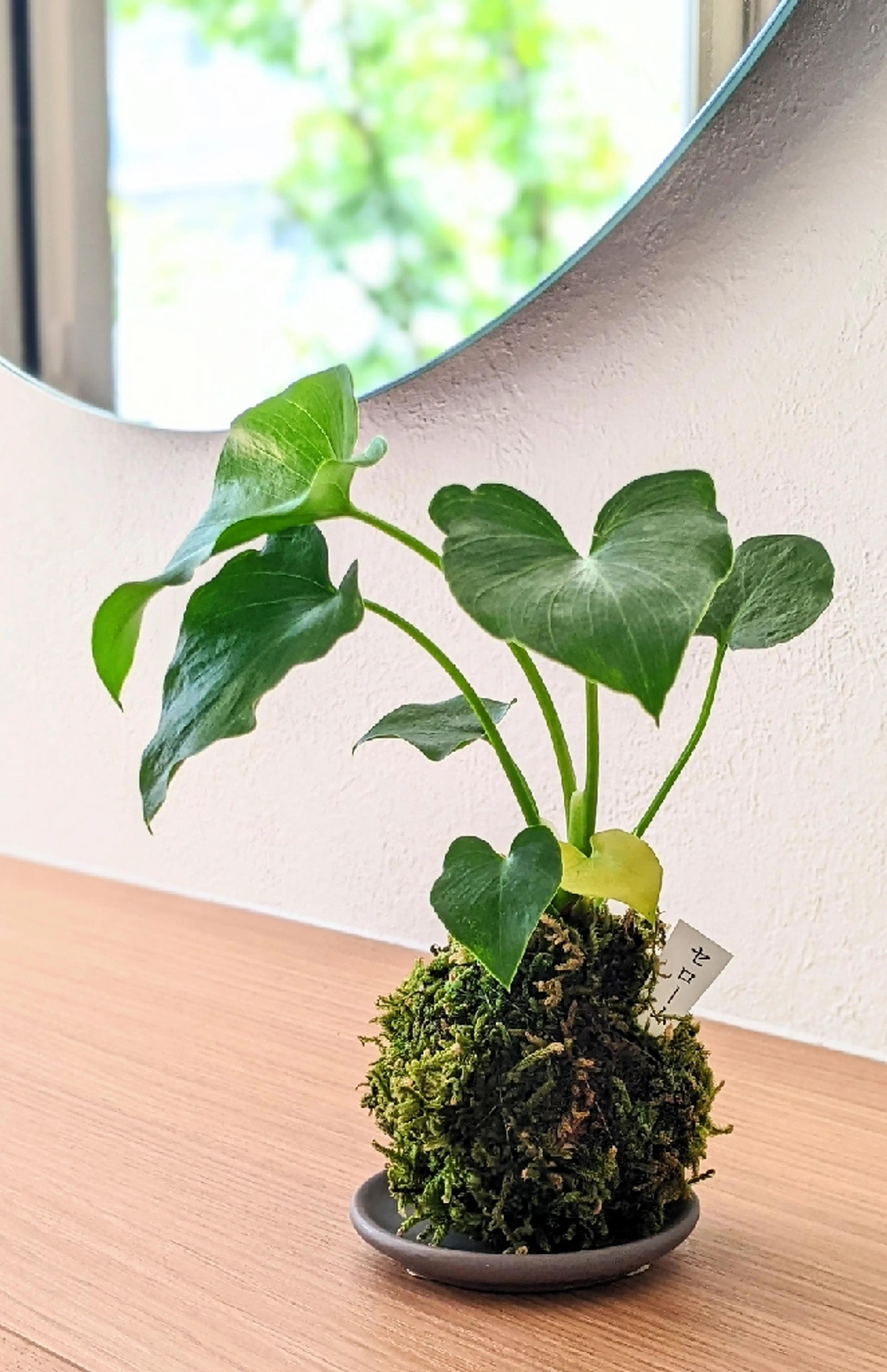 chaton中崎の内観・外観3