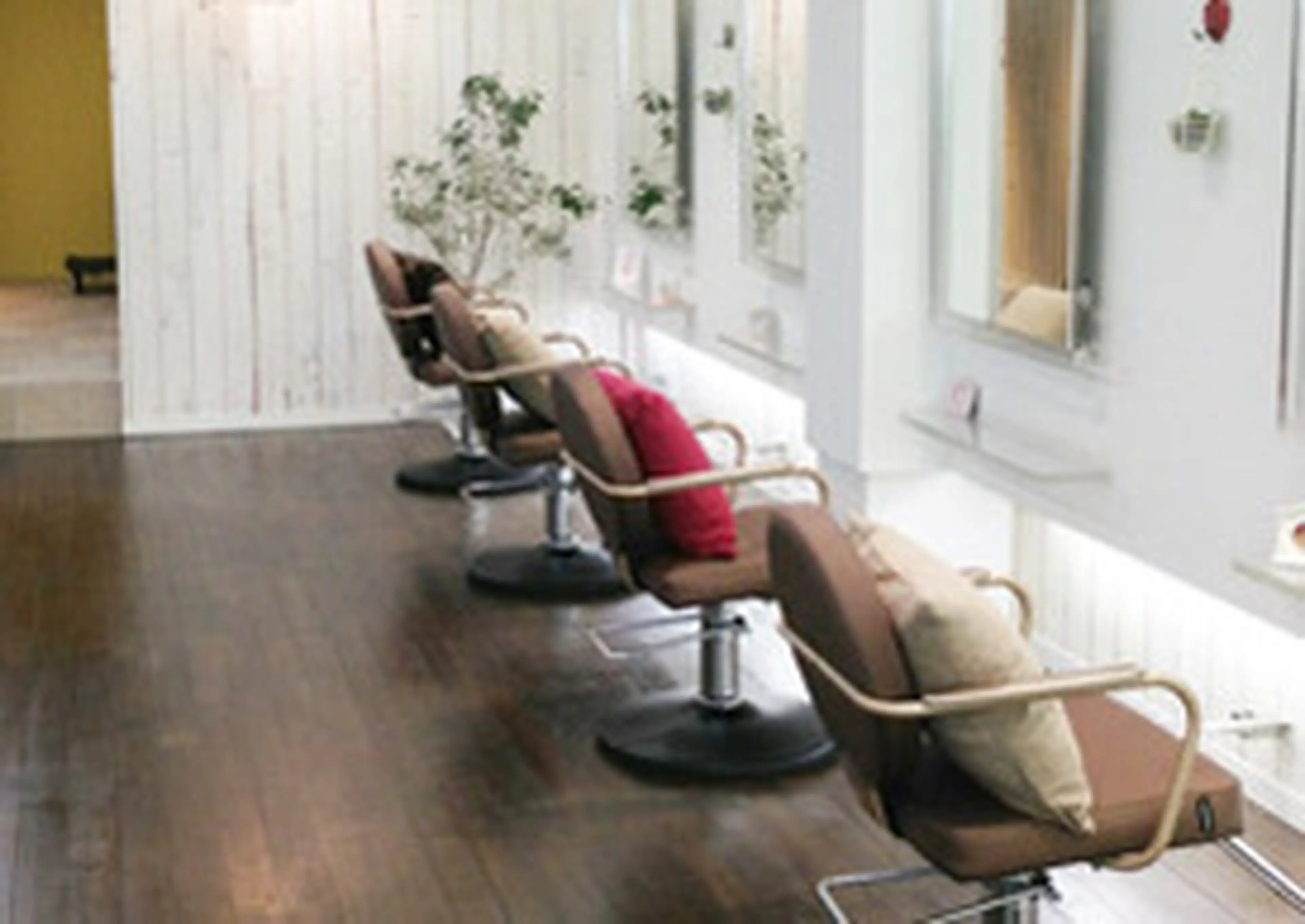 apish cherieの内観・外観1