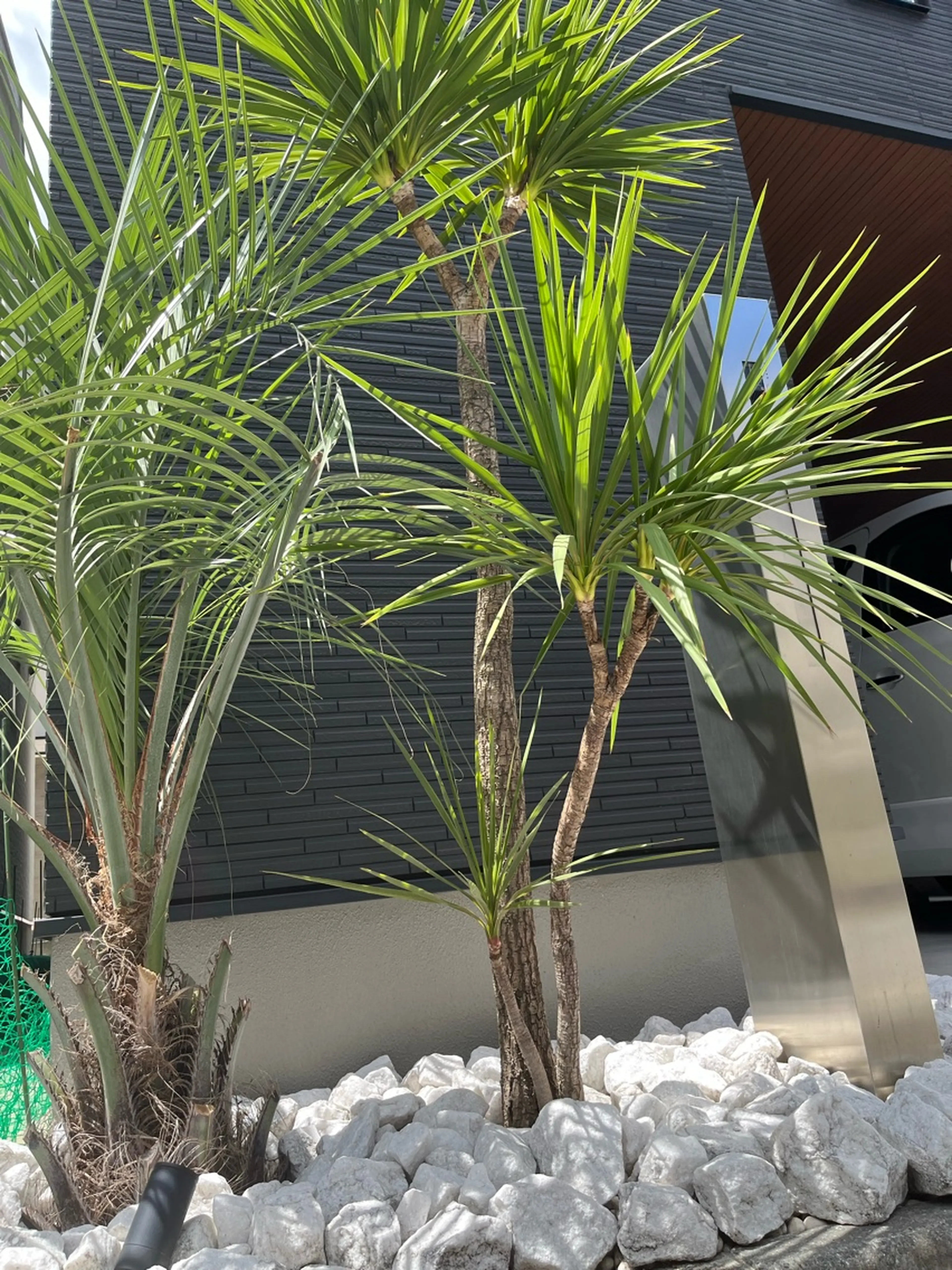 il SOLEの内観・外観1