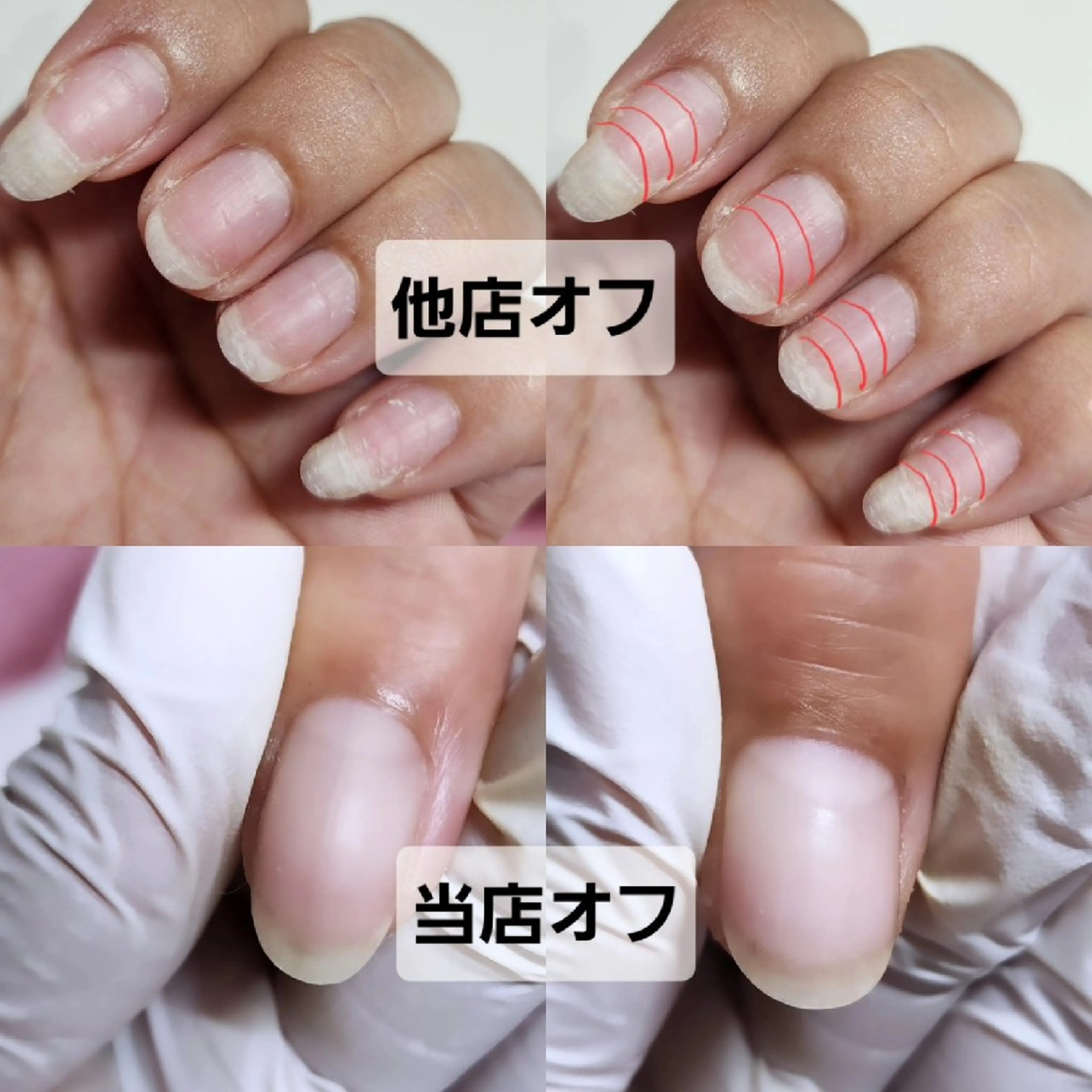 MaxQueenCuteの内観・外観3