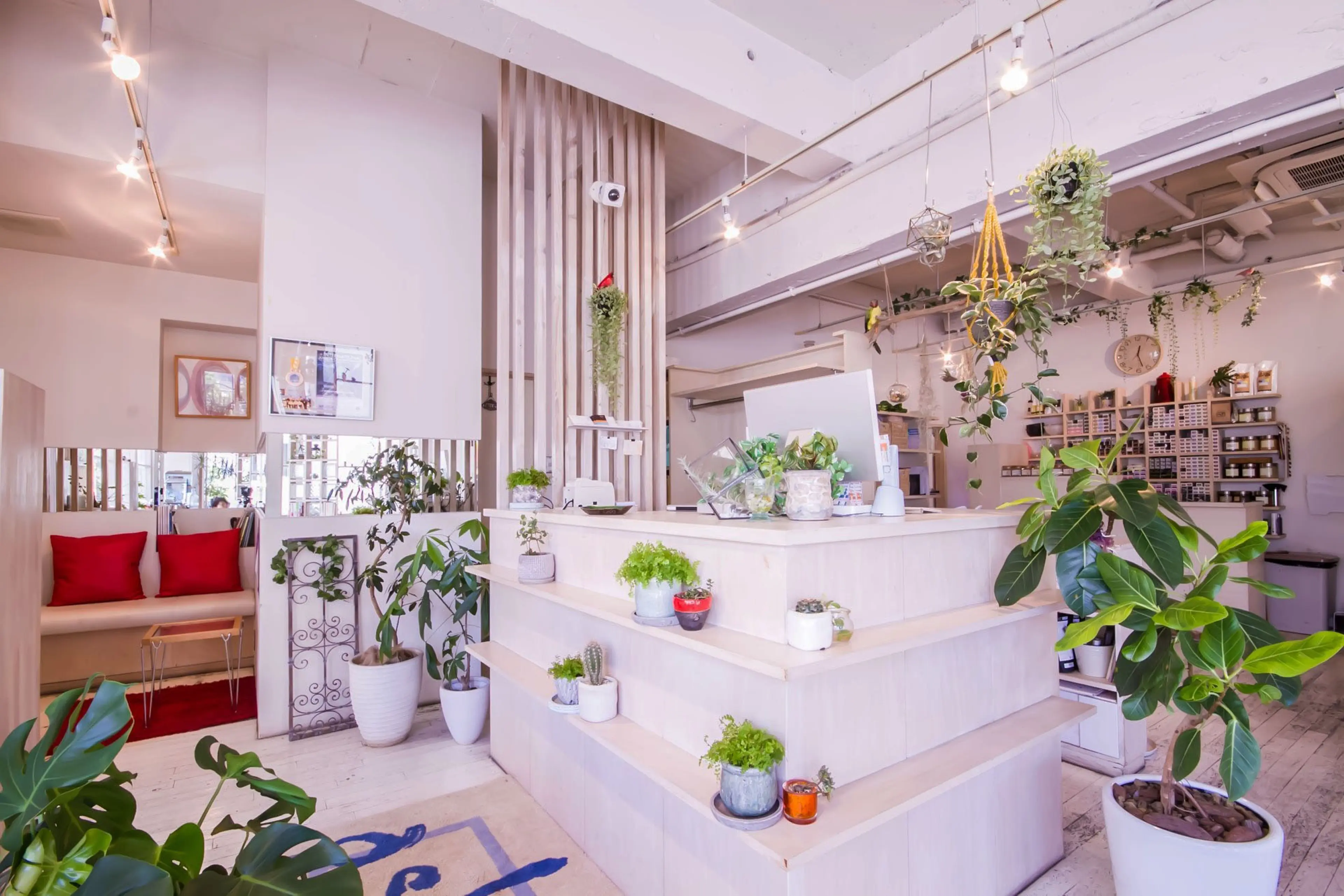 asha hair solution神戸店の内観・外観3