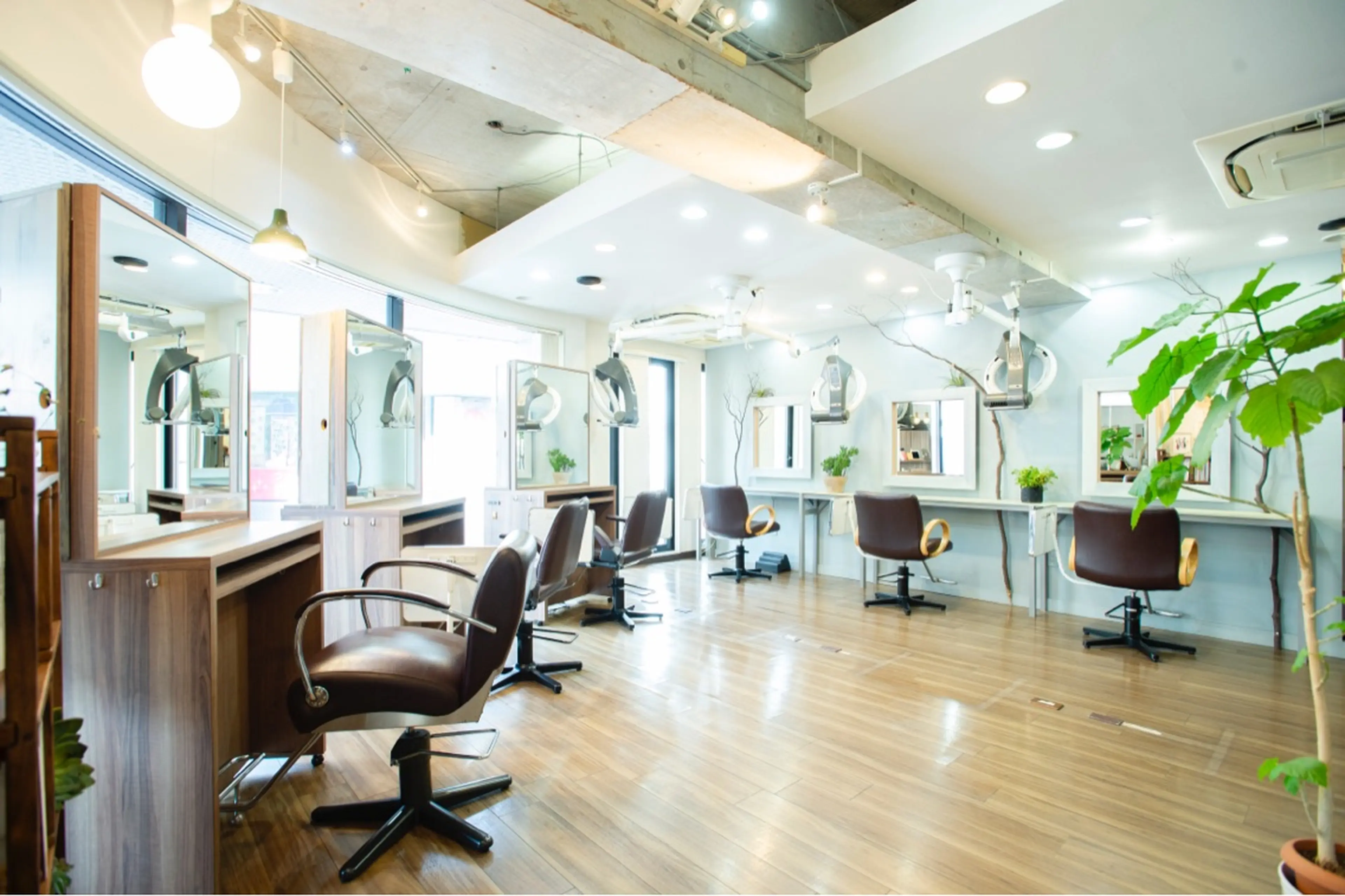 Chezlion et Natureの内観・外観1