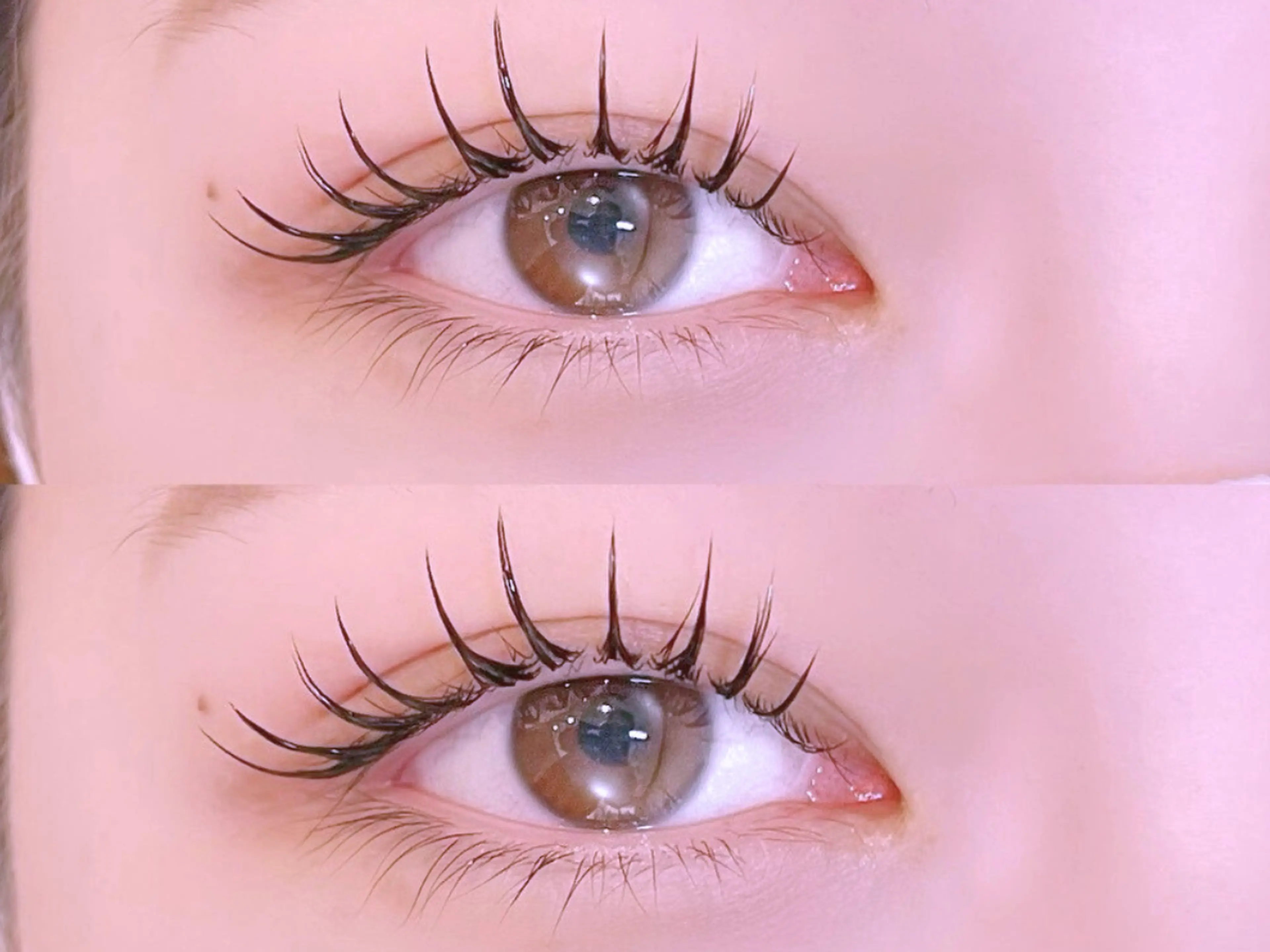 Nai-Chan Eye 神楽坂【別館】の内観・外観3