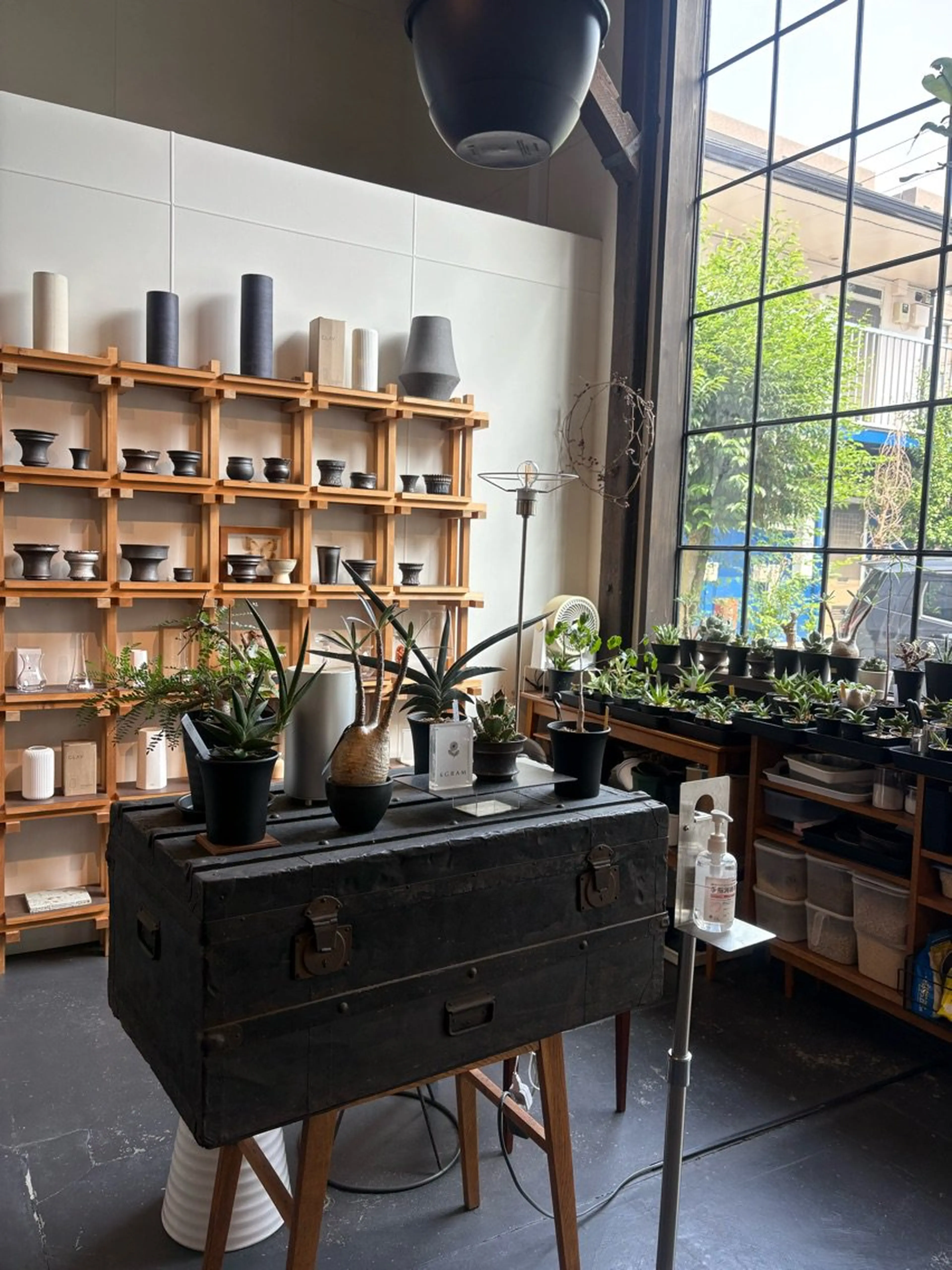 nicoの内観・外観2