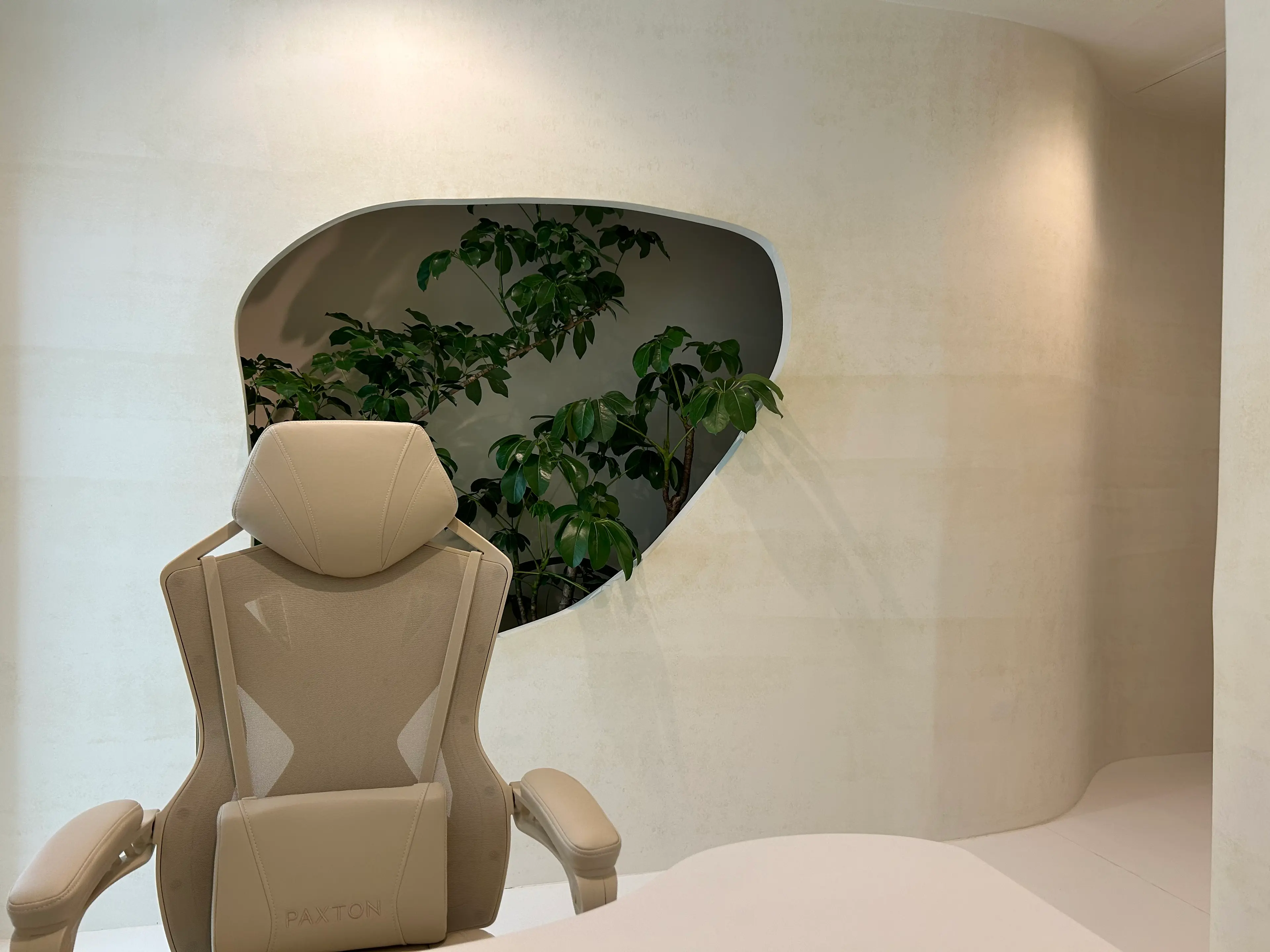 Charisの内観・外観1