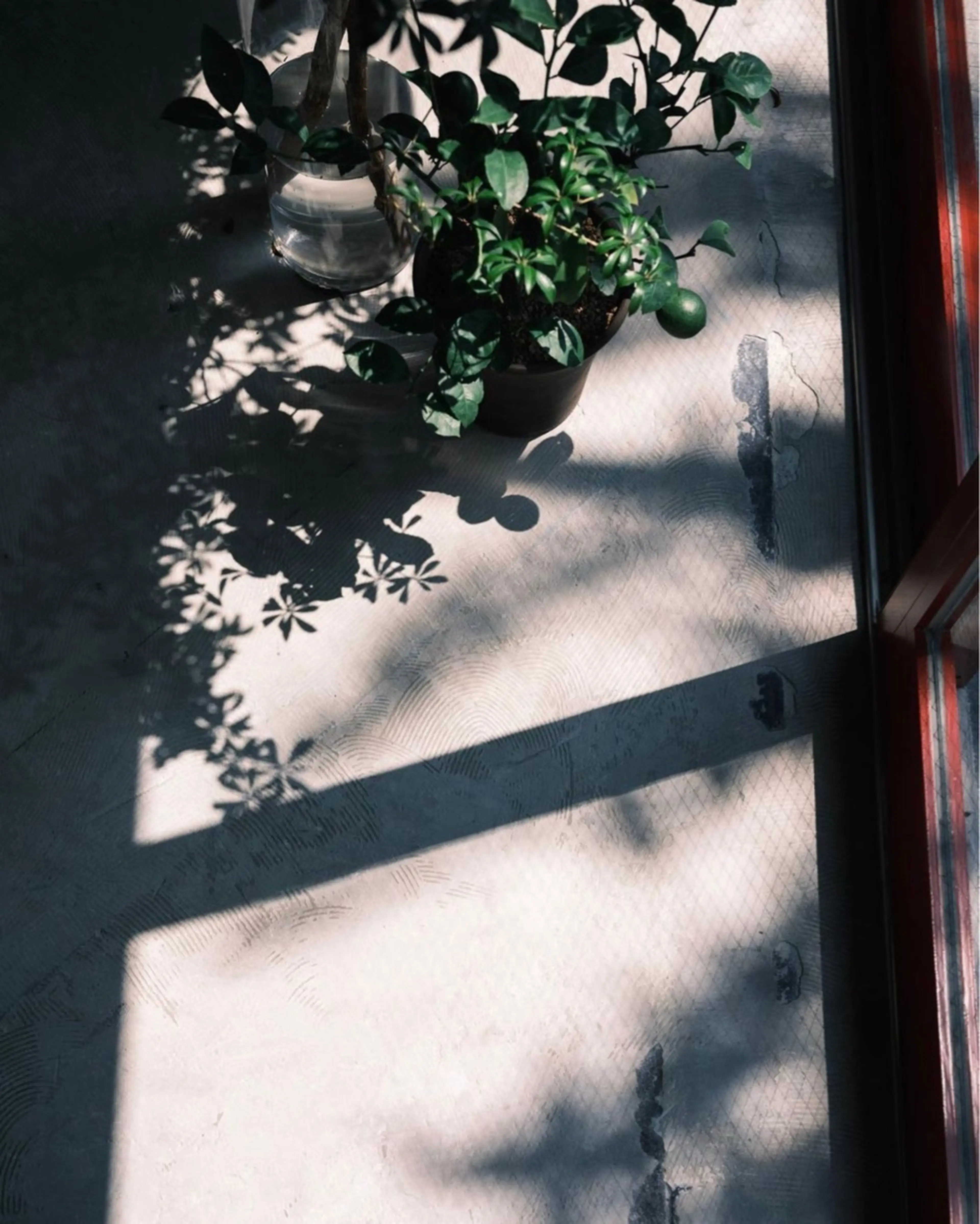 copeu aele【クペウアエレ】の内観・外観3