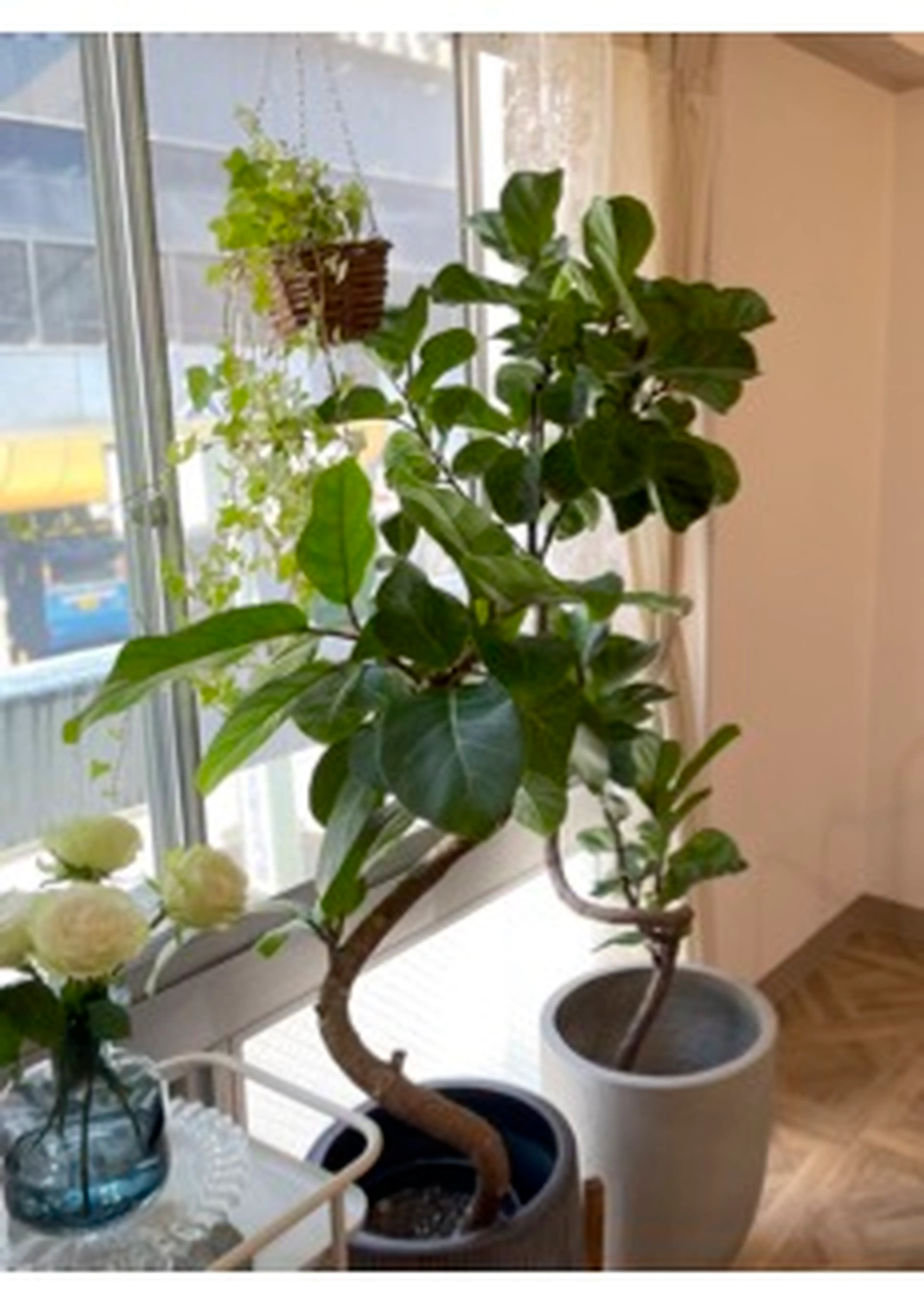 HAY eyelash&care ヘイアイラッシュアンドケアの内観・外観2