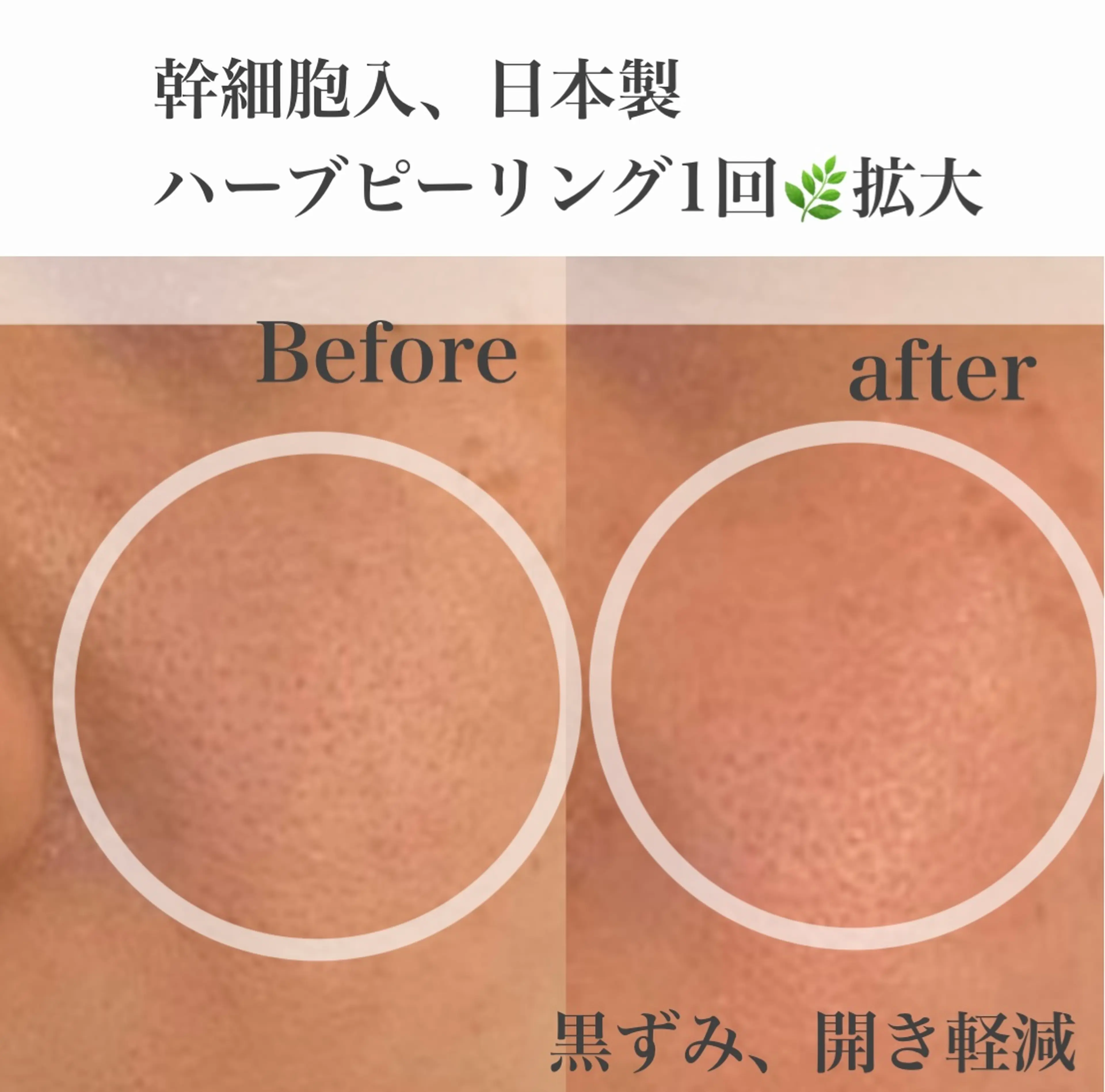 シャルトルズ恵比寿店の内観・外観2