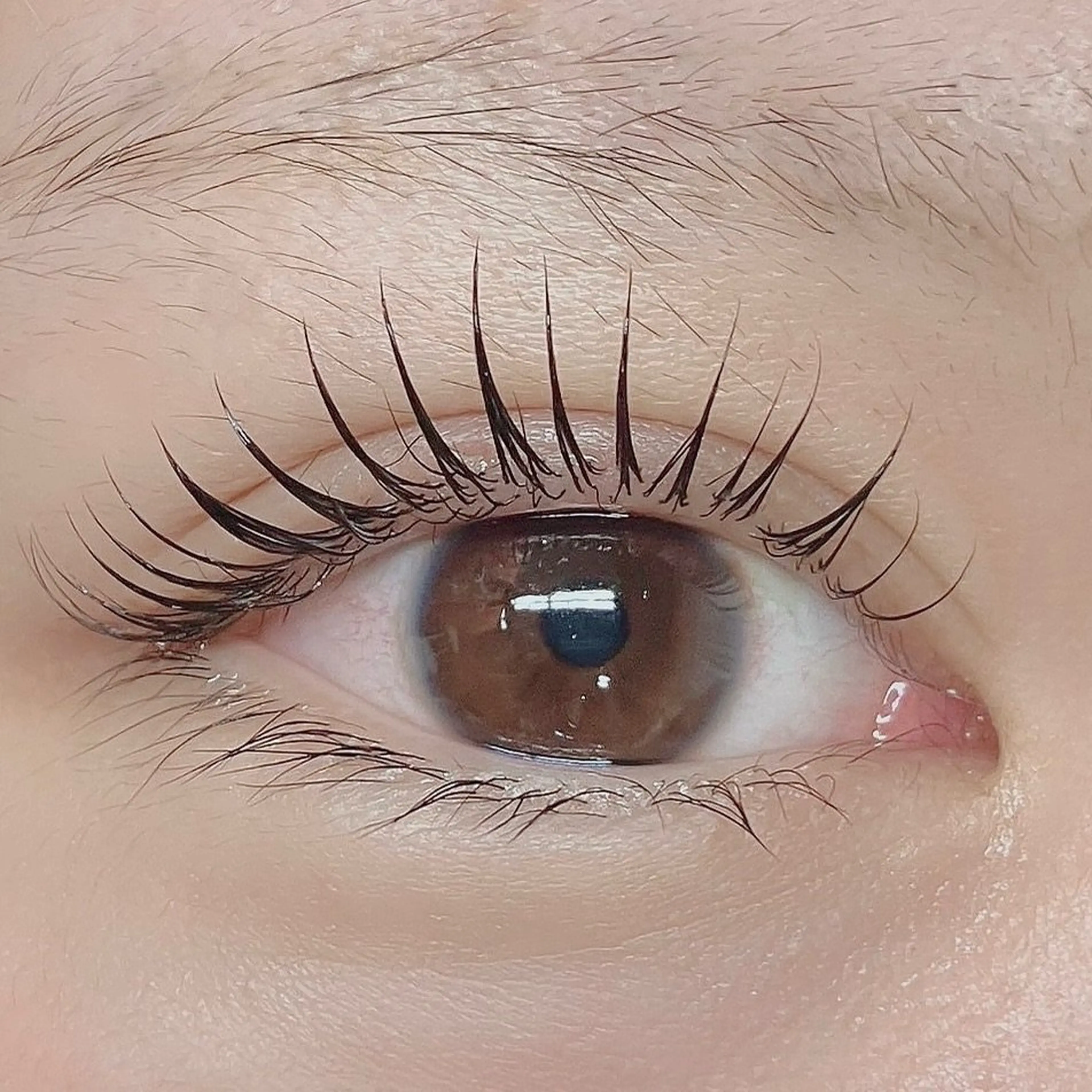 miumoaの内観・外観2