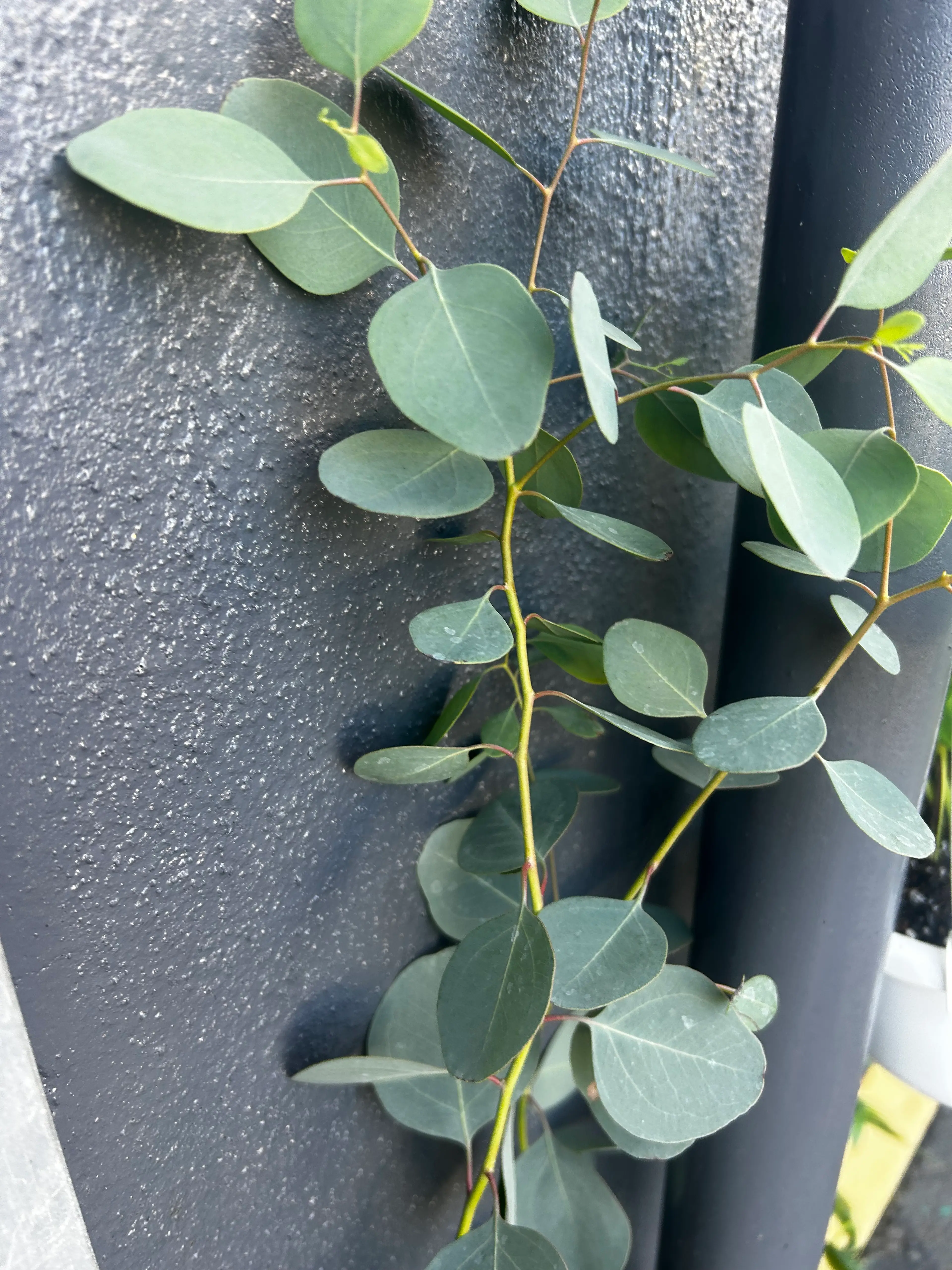 肌育専門SOLA＋の内観・外観3