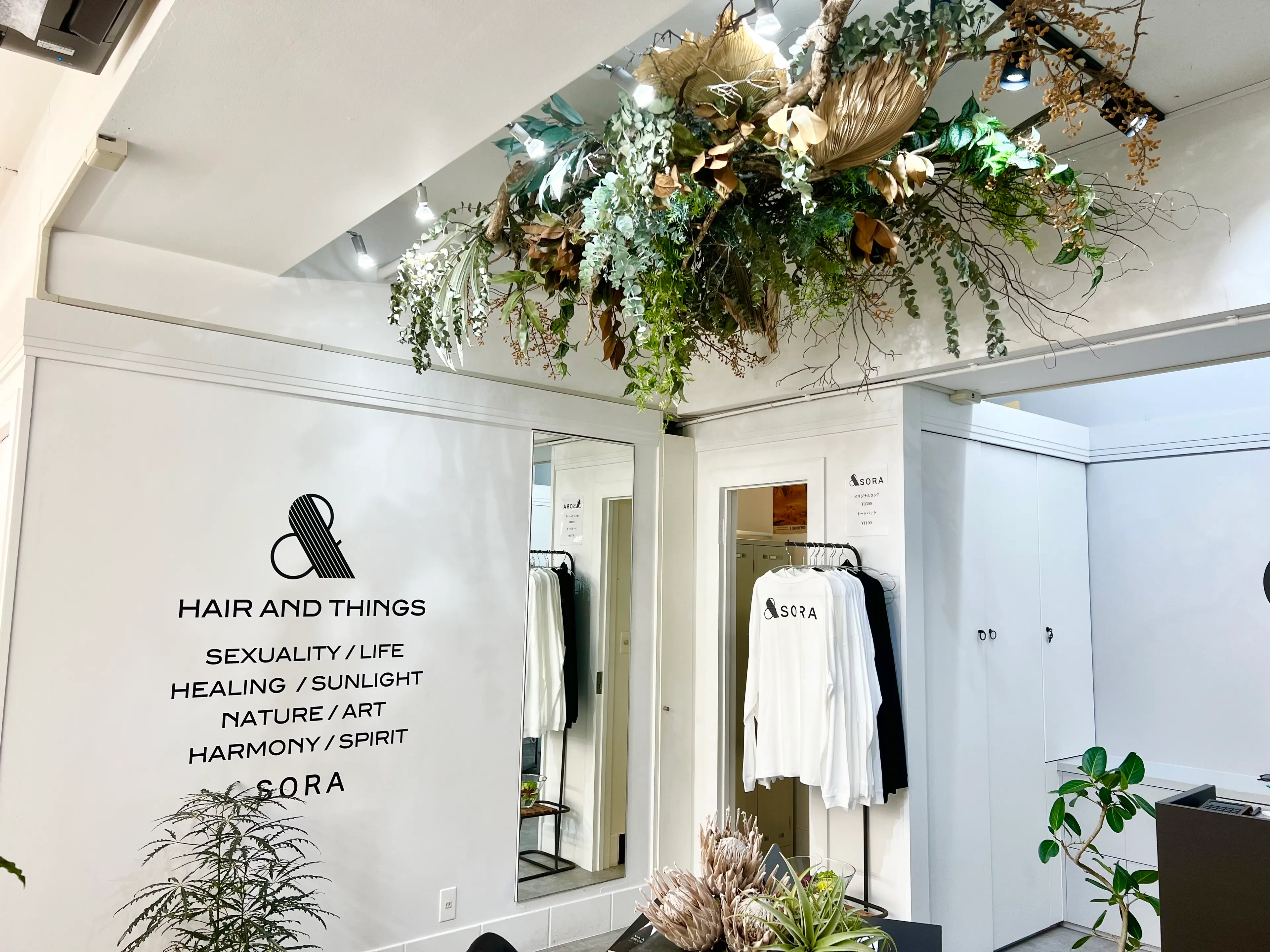 & SORAの内観・外観3