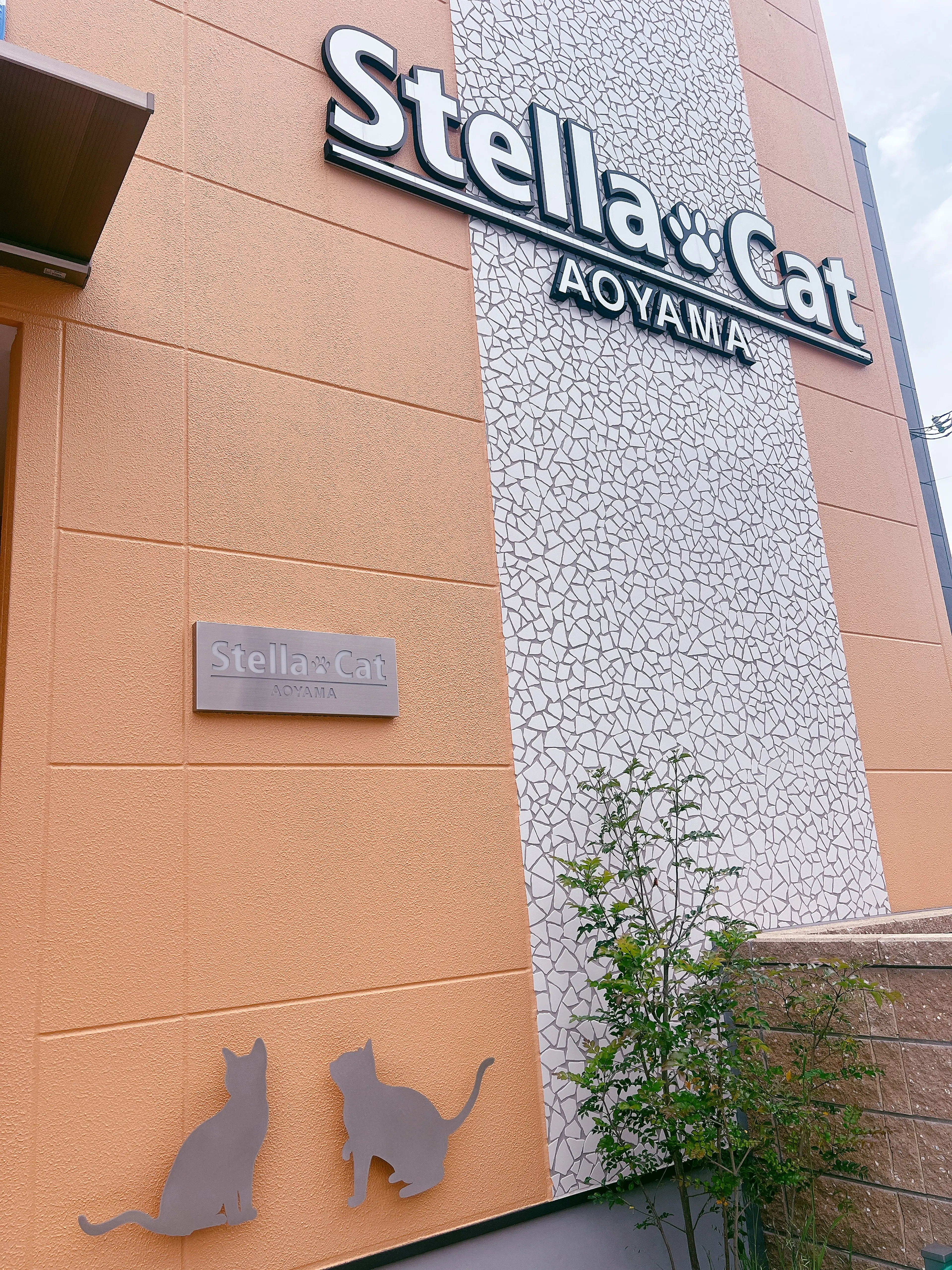 SHINYの内観・外観1