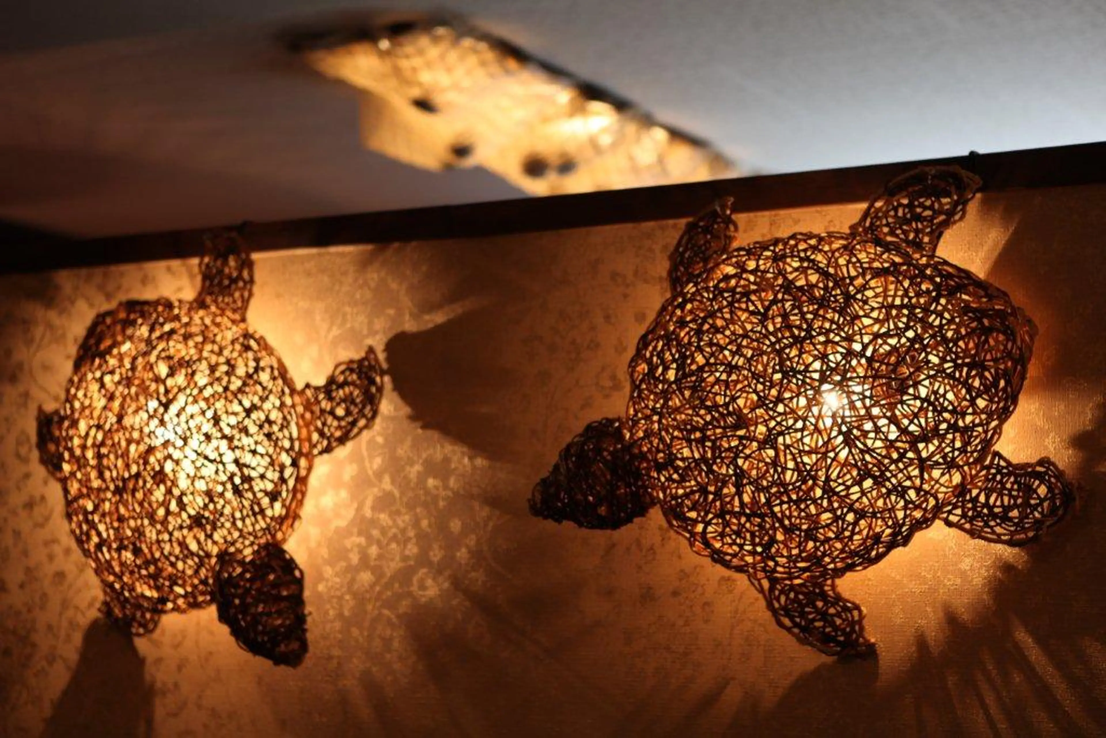 美肌脱毛専門サロンDione岸和田店の内観・外観3