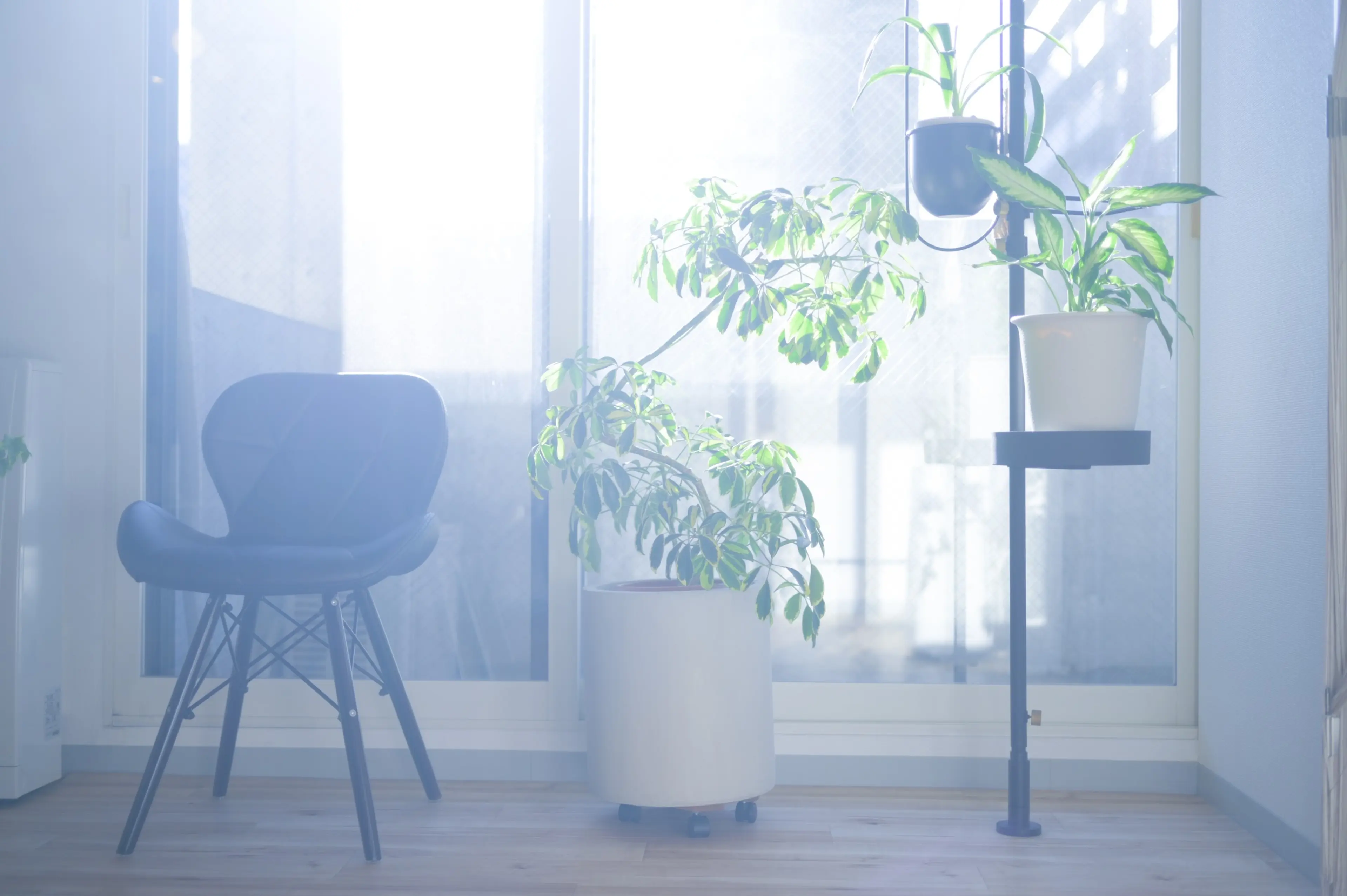 meboreの内観・外観3