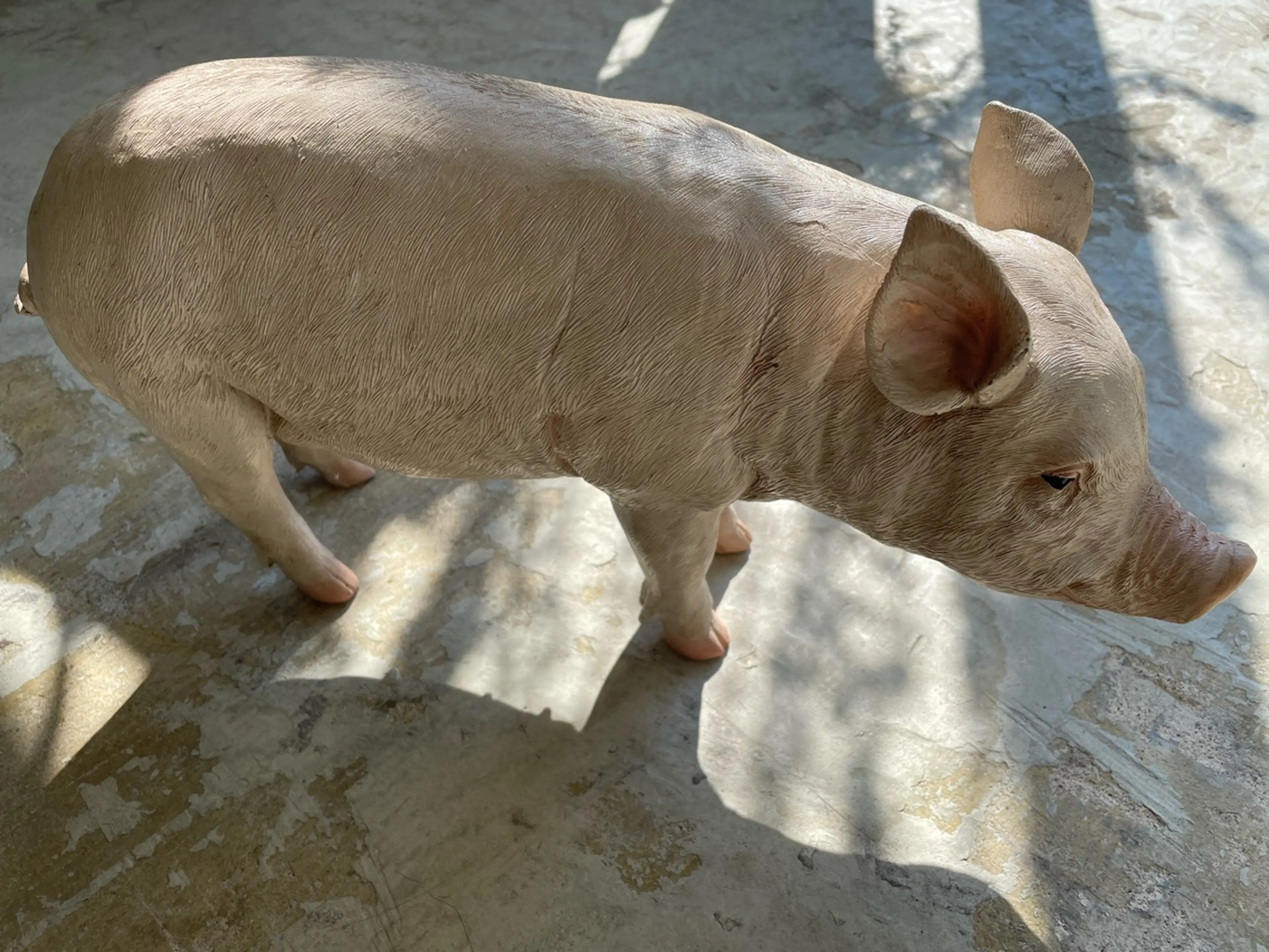 coppe panの内観・外観2