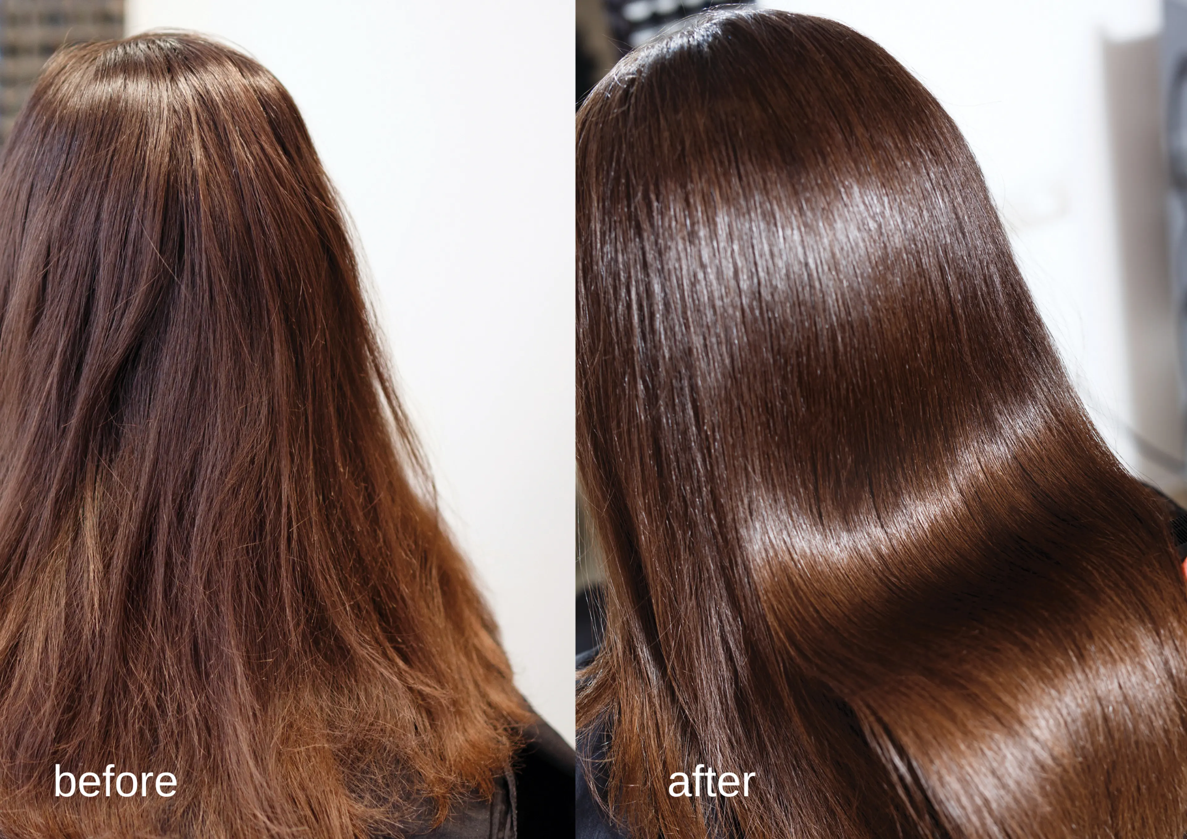 emuの内観・外観3