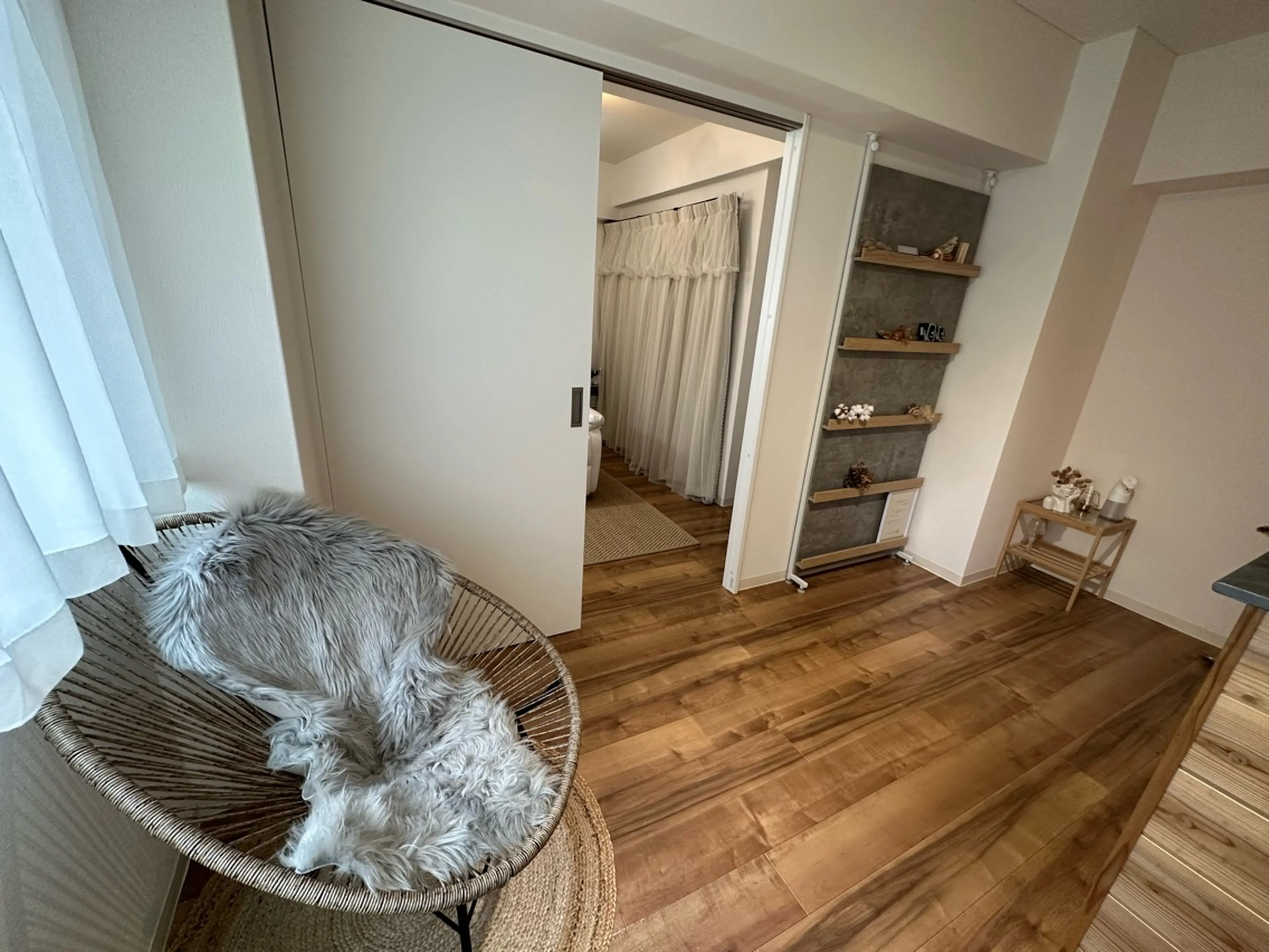 Sailsの内観・外観2