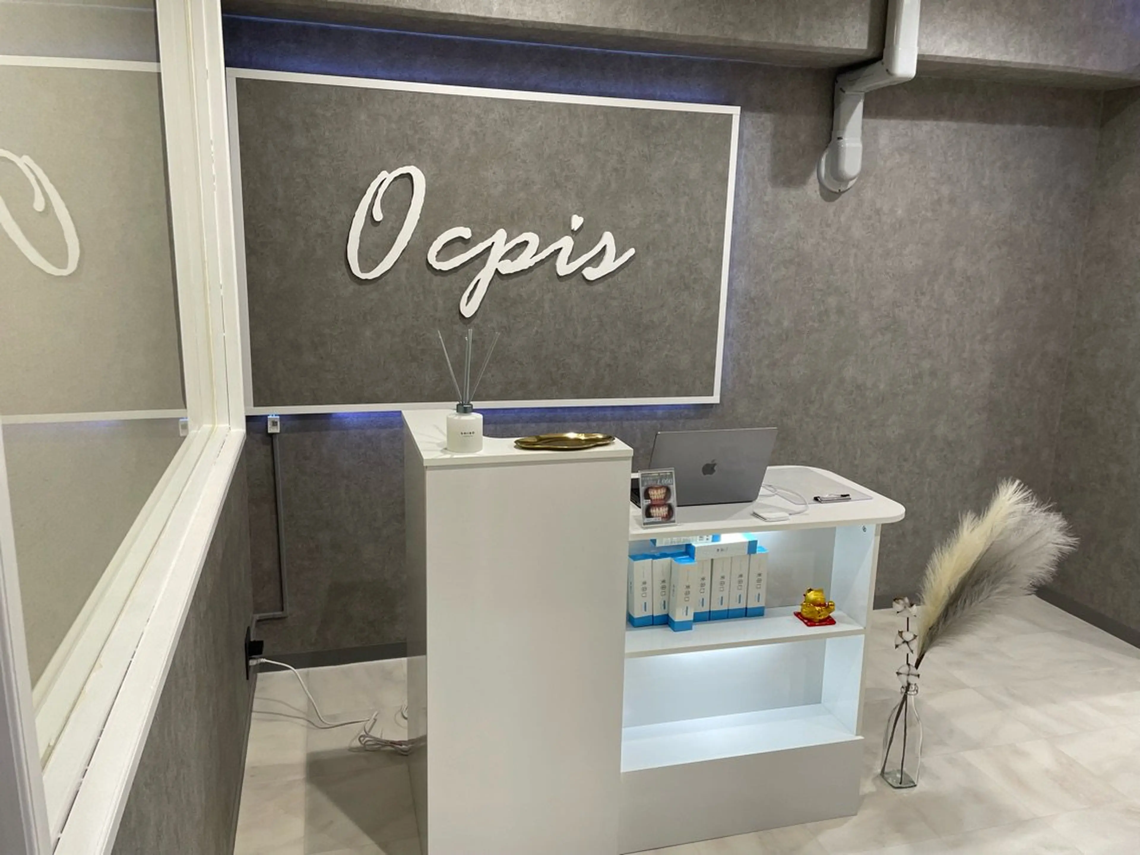 whiteningocpisの内観・外観1