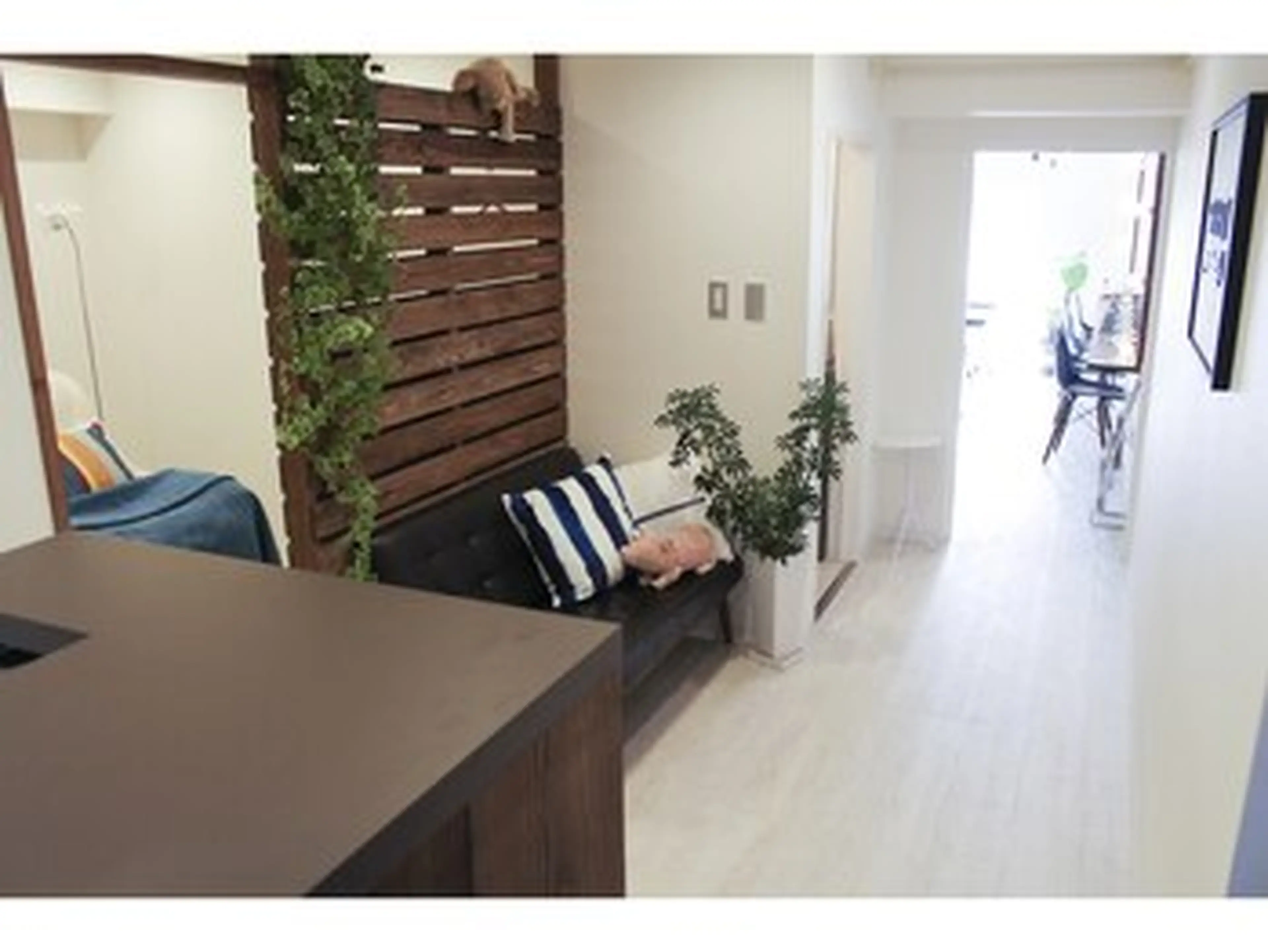 SELECT eye coniergeの内観・外観2