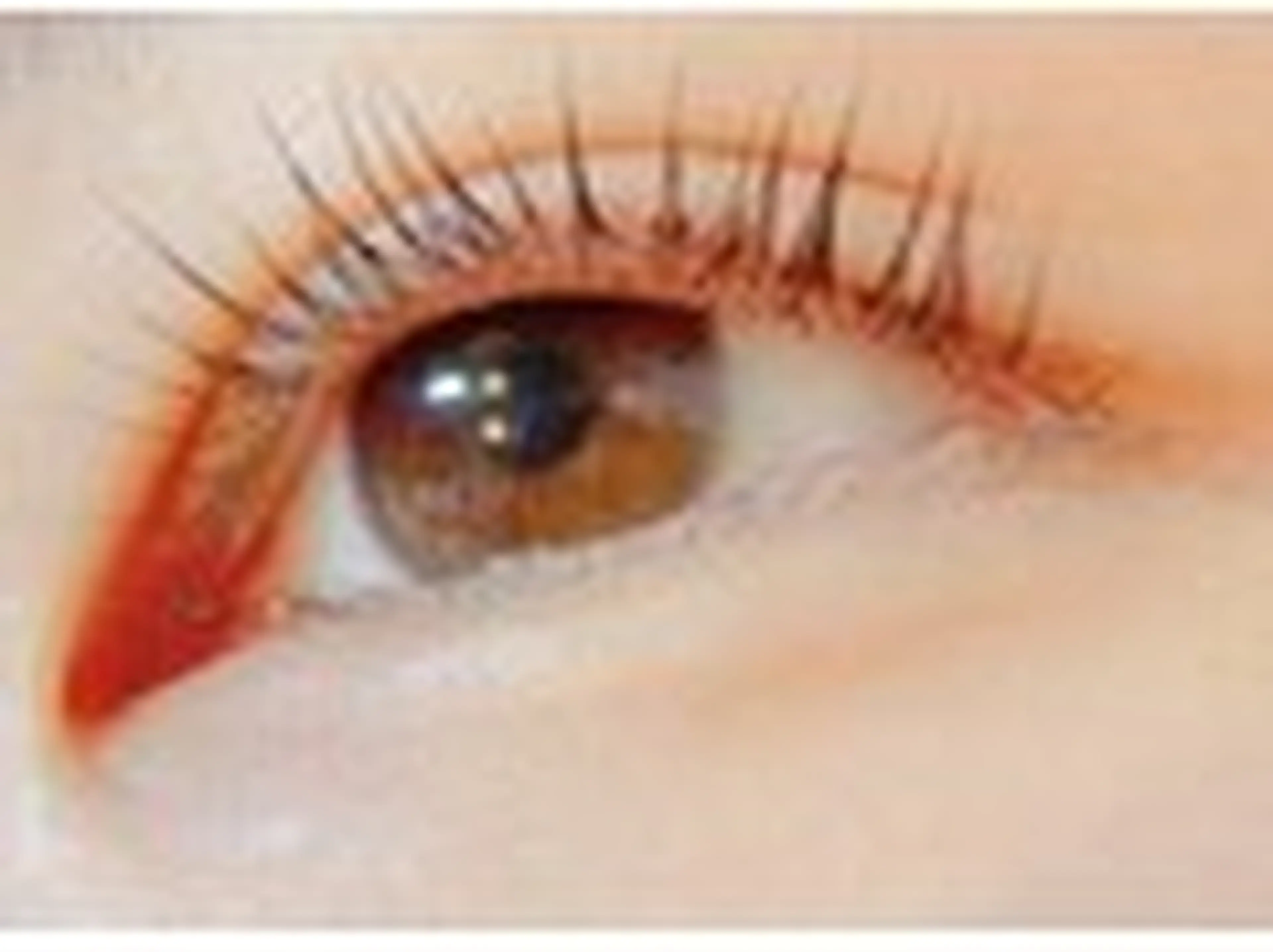 lucil eyelash ルシル塚本店【まつげパーマ/マツエク/眉毛専門店】の内観・外観3