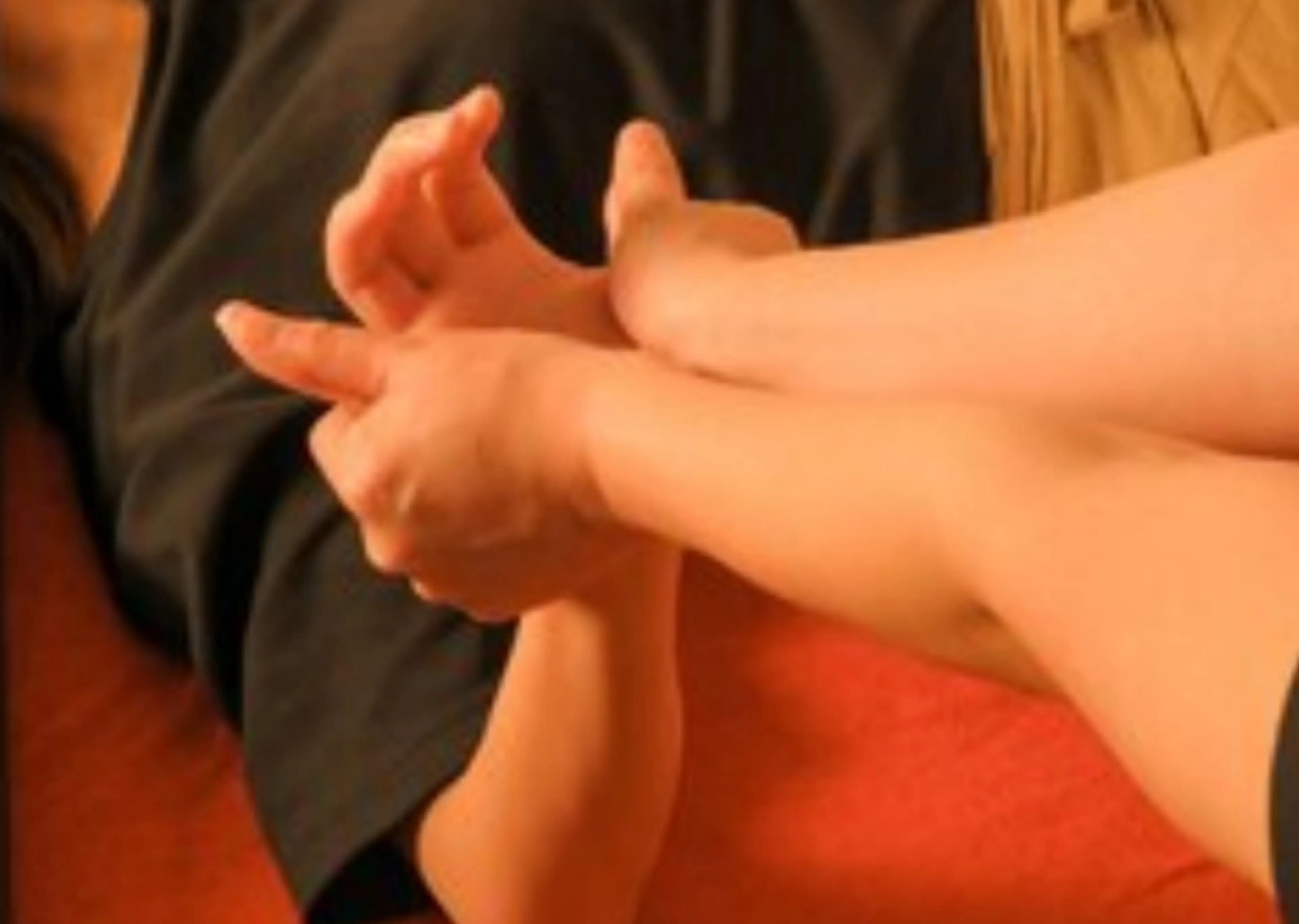 ラムヒンナーの内観・外観1