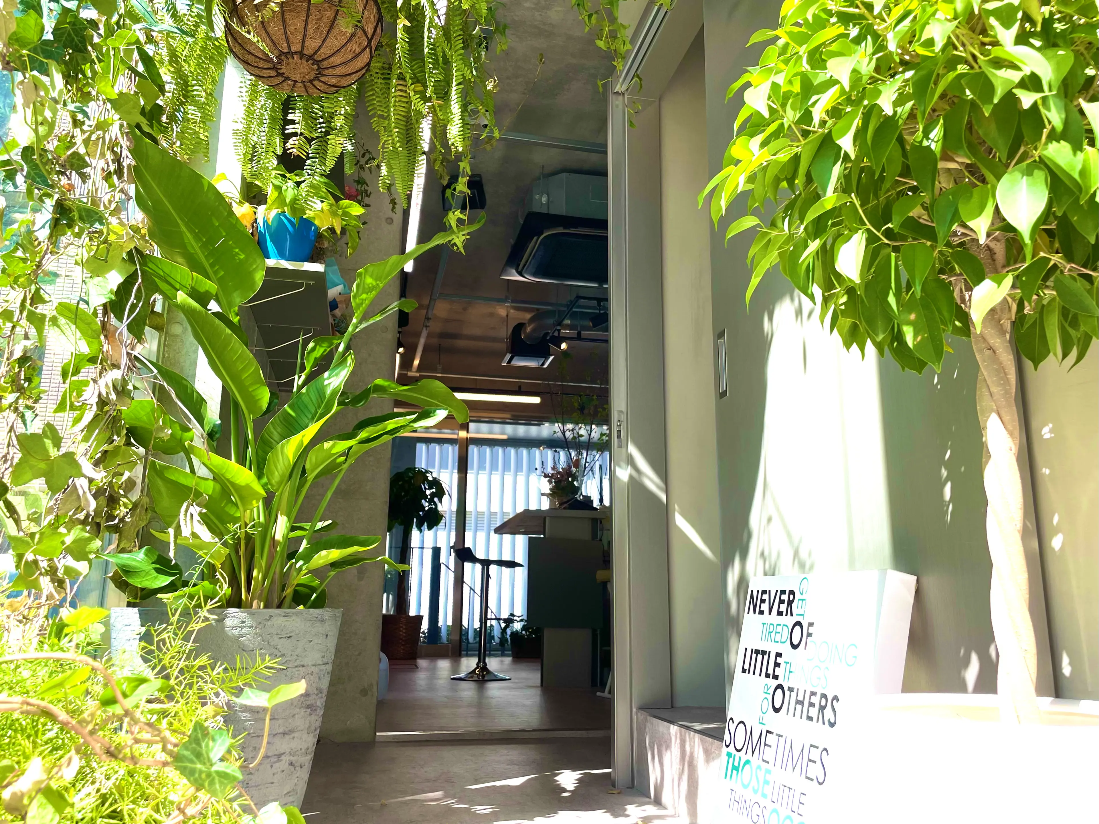 Forest Mirrorの内観・外観1