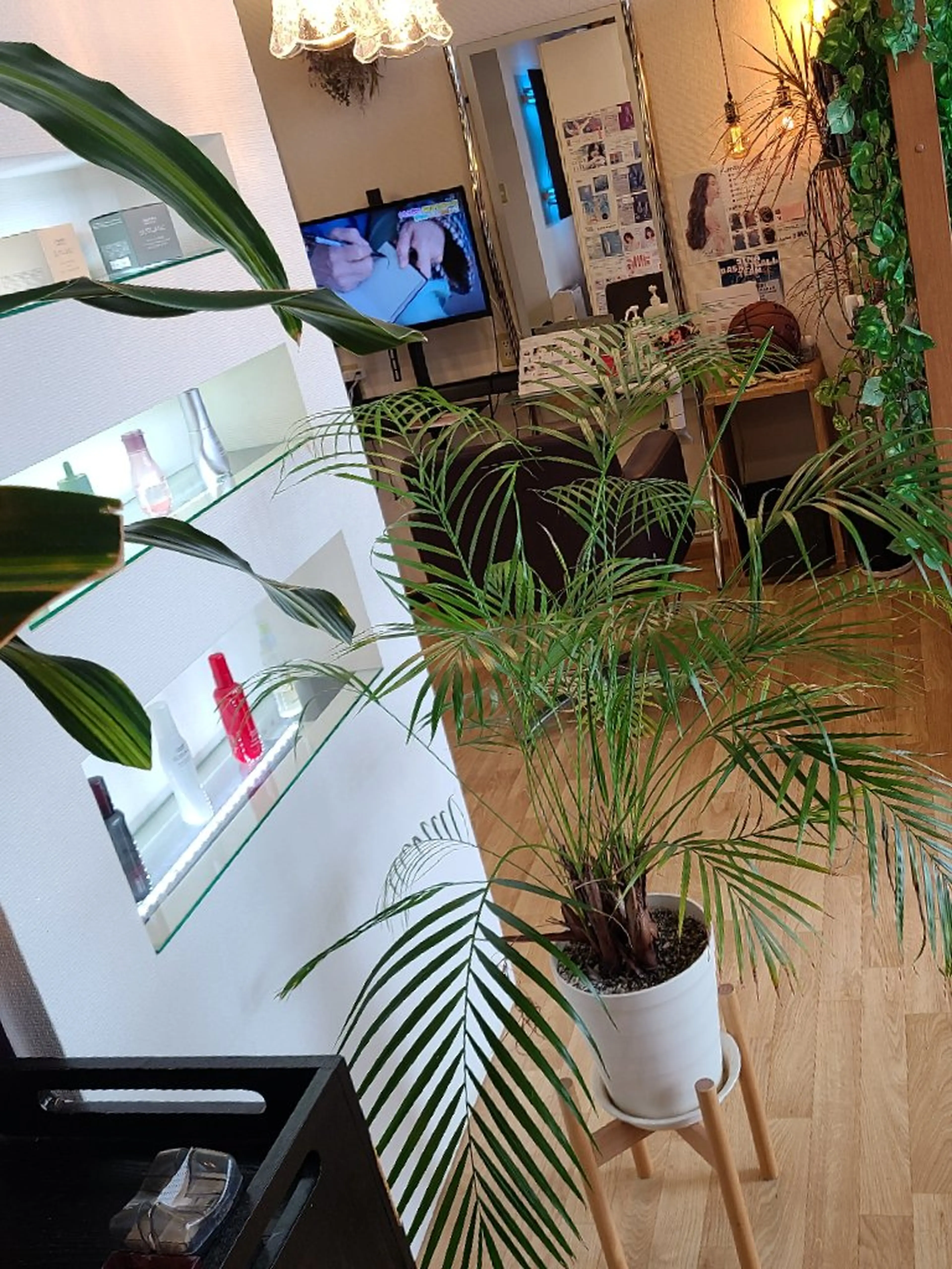 SIMAの内観・外観2