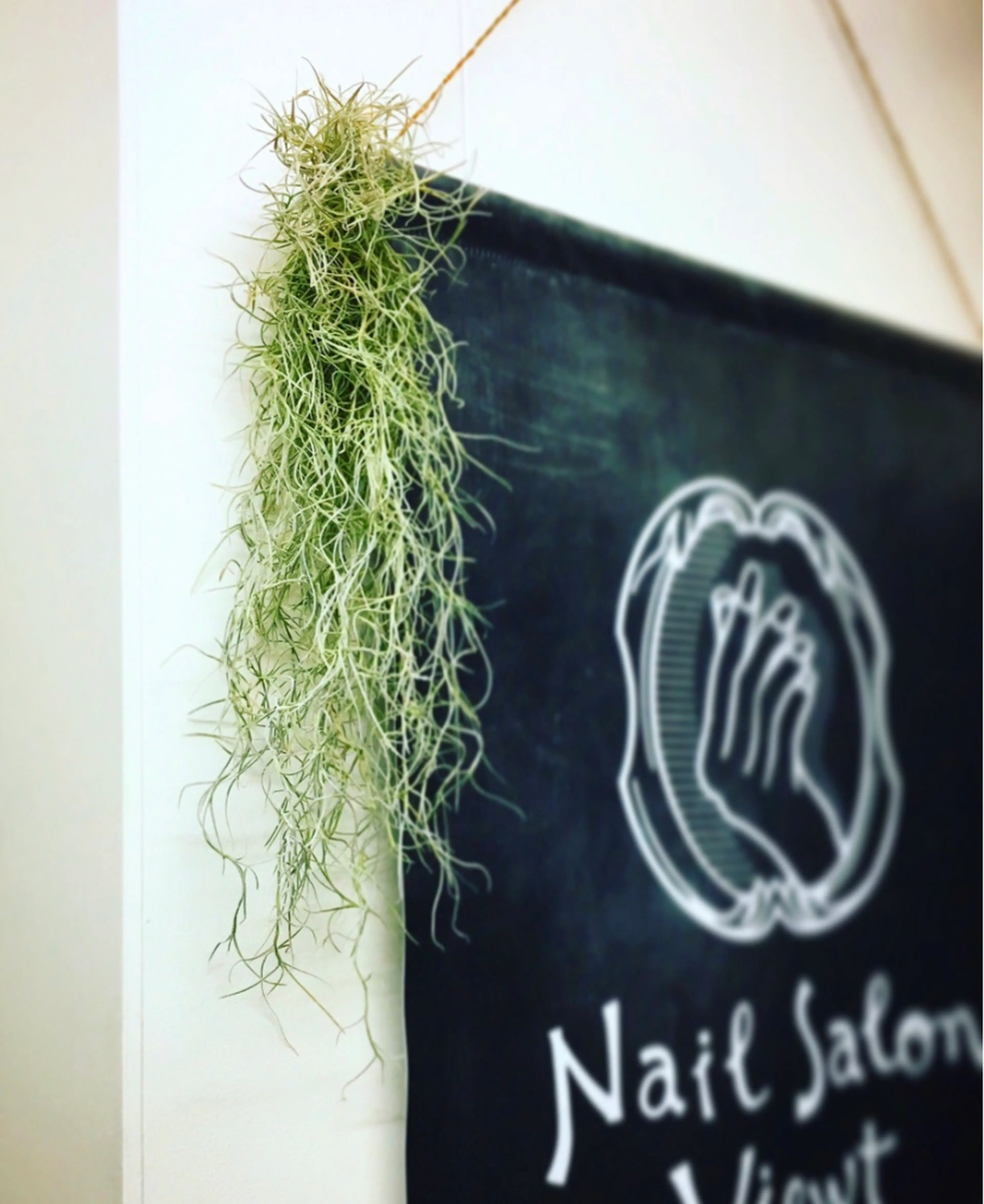 viewtの内観・外観1