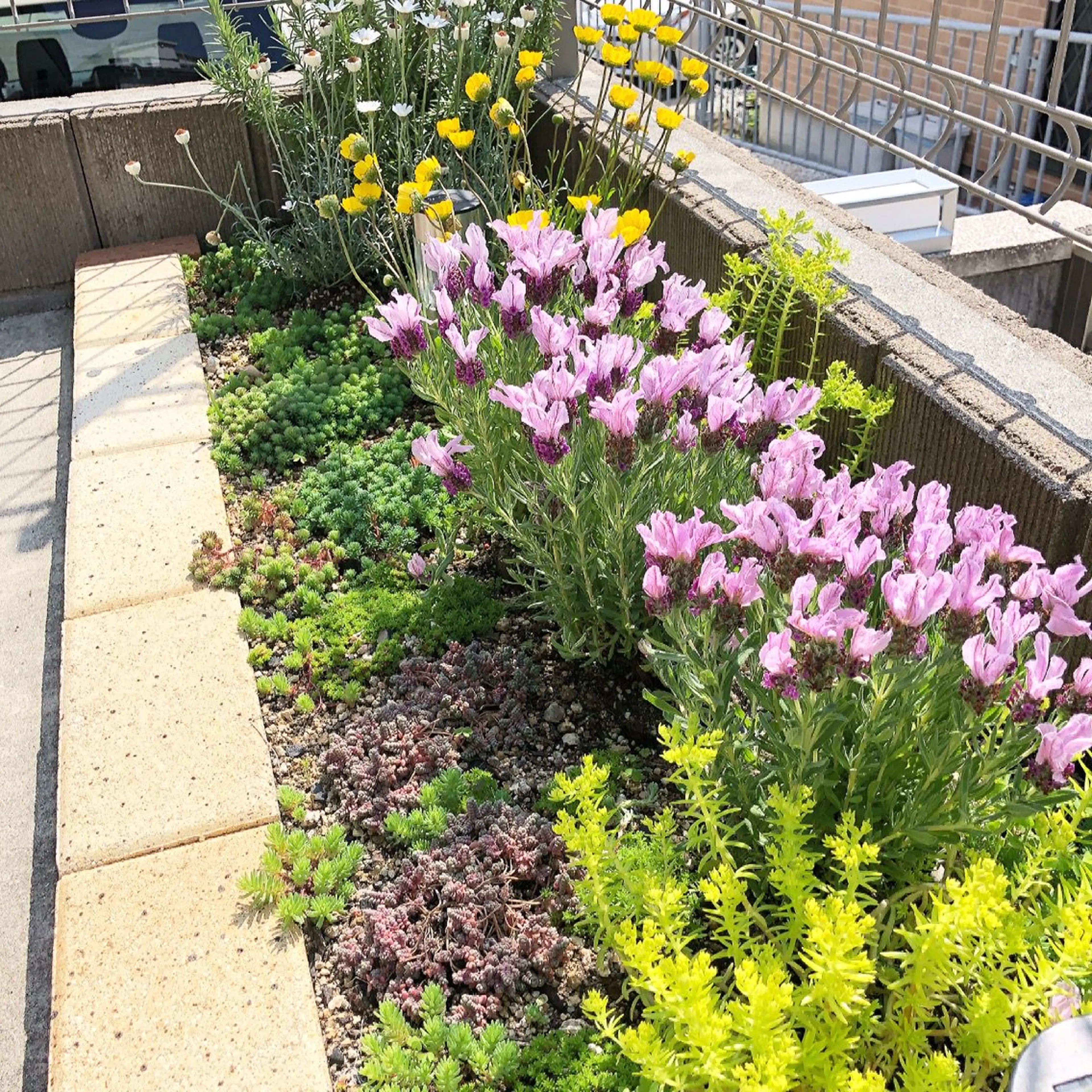 アロマリンパ ＆フェイシャルkanoaの内観・外観2