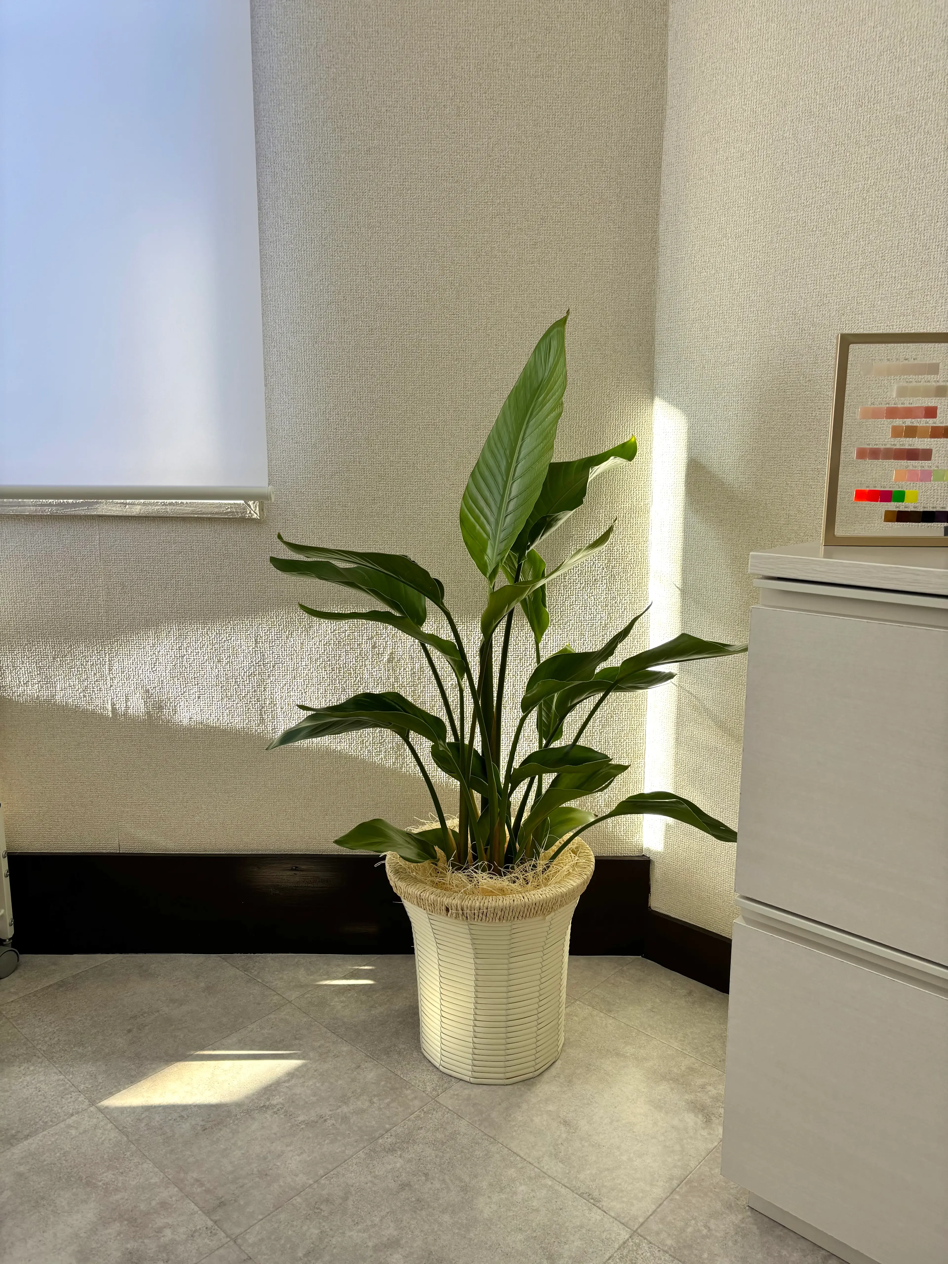 nailroom_kukaの内観・外観2