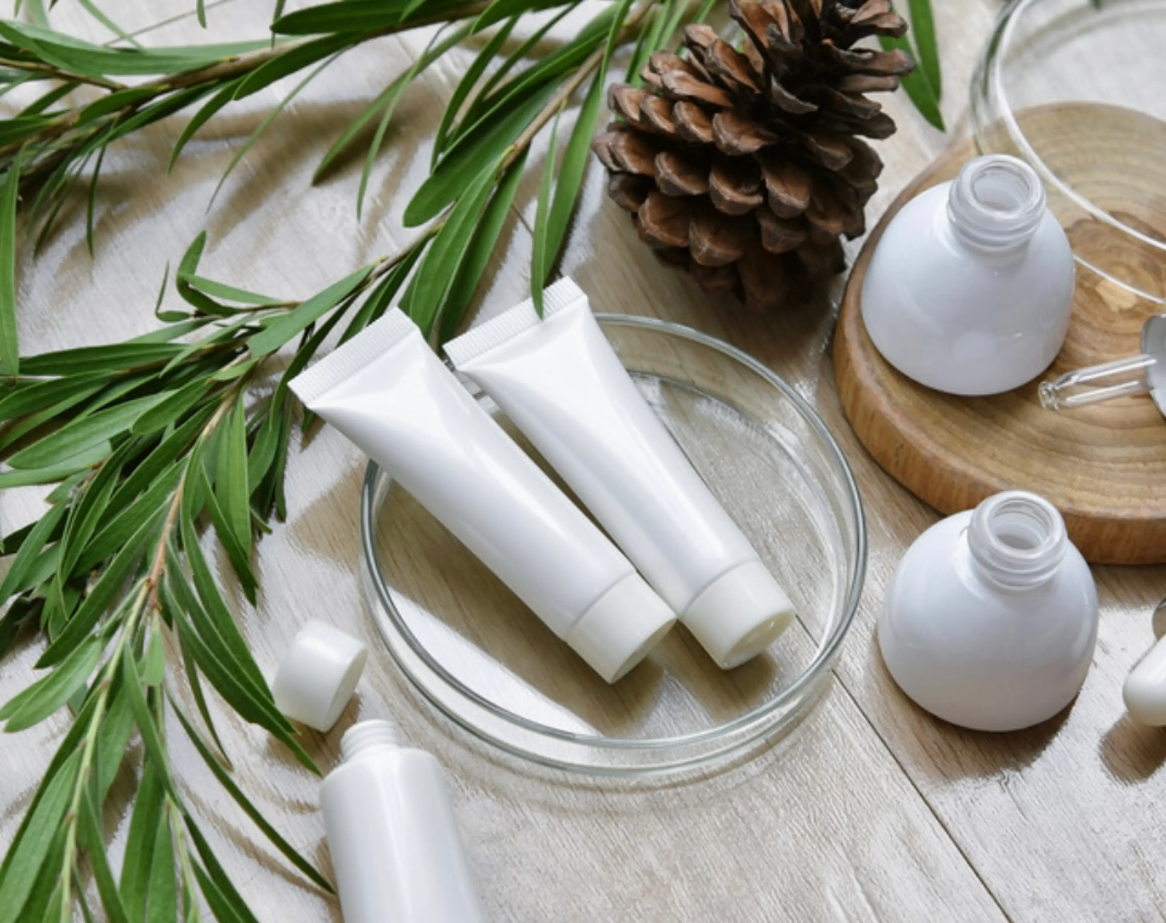 Total BeautySalon Lino'a【リノア柏】の内観・外観3