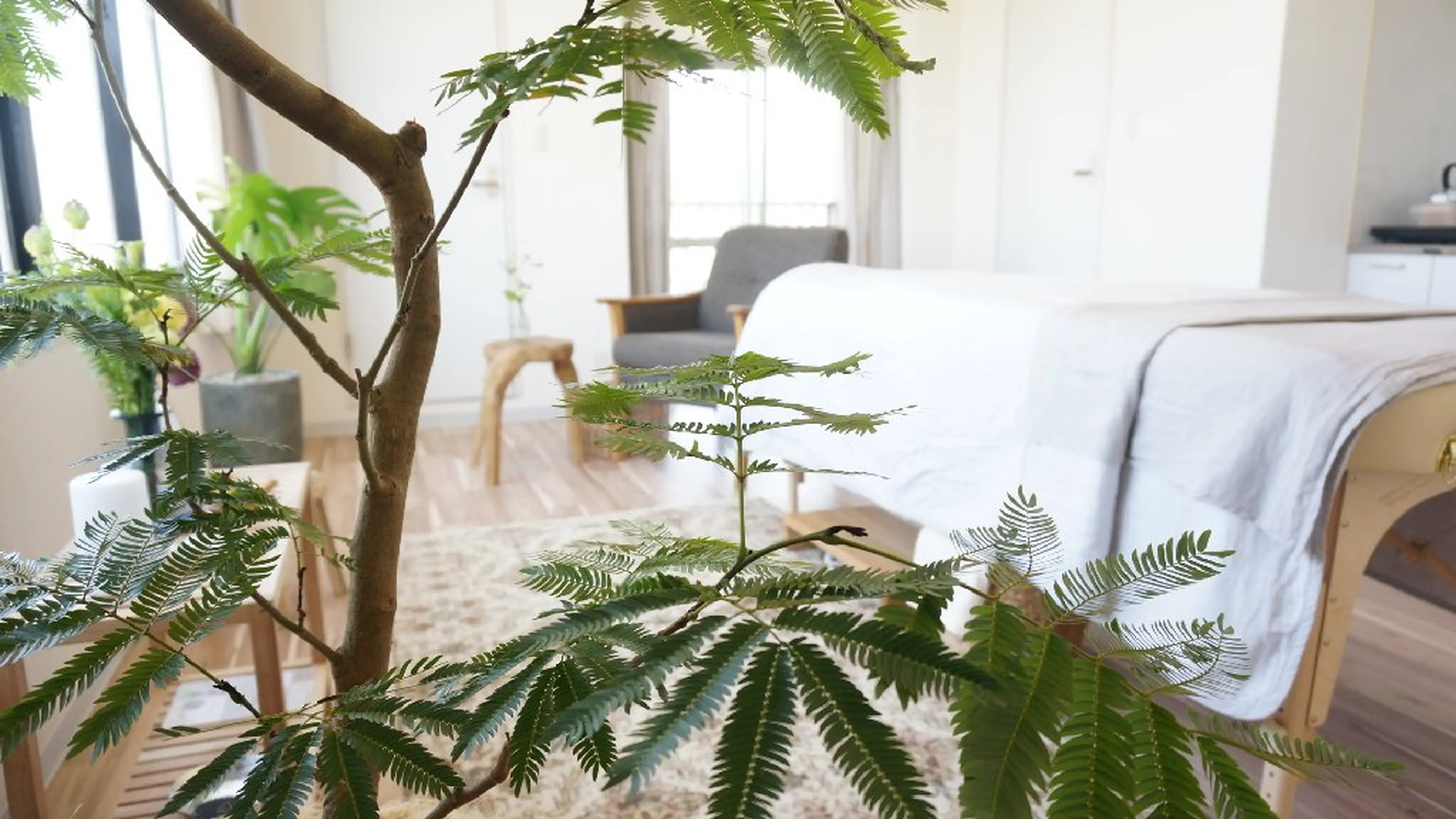 madoiの内観・外観2