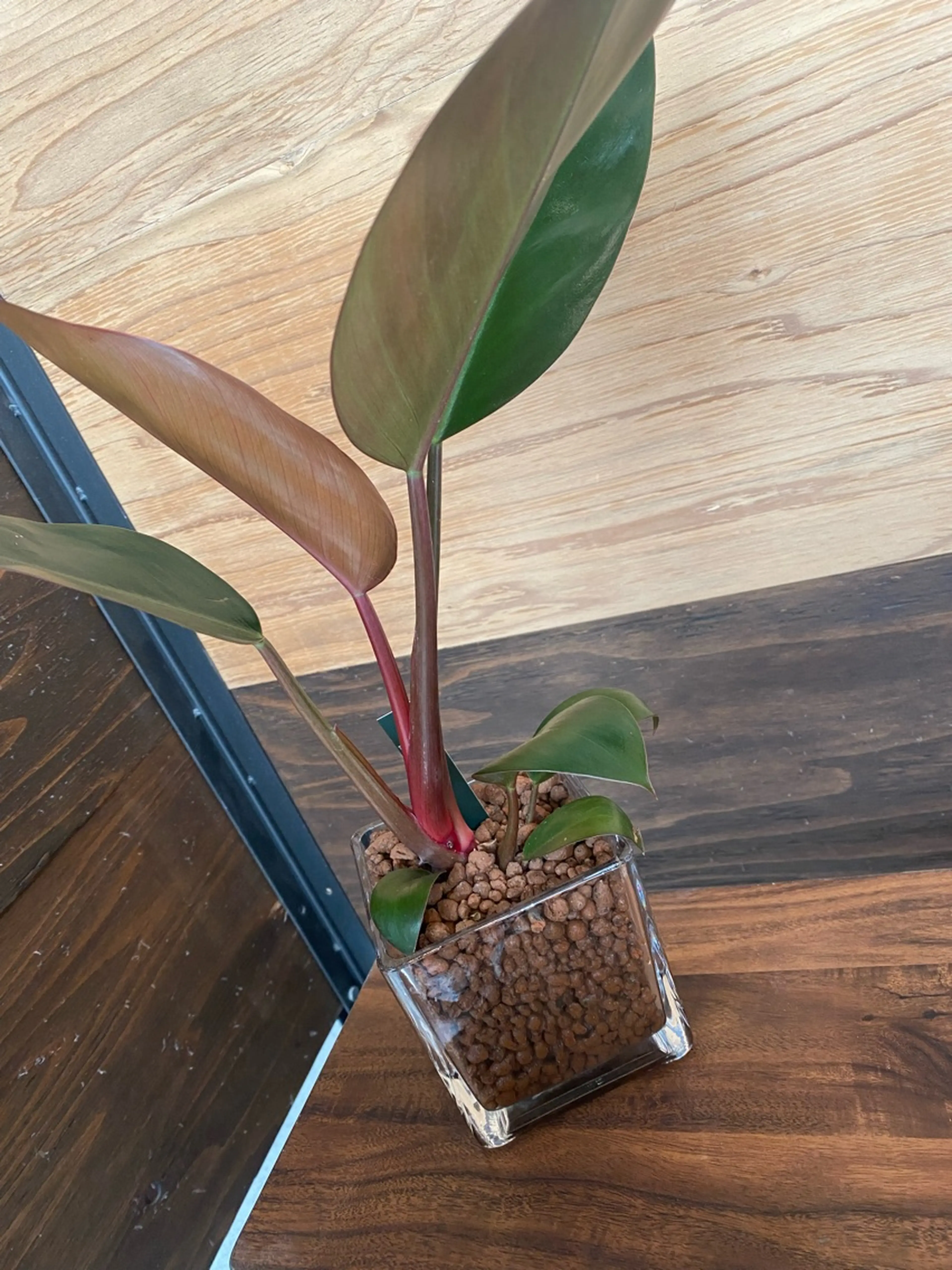 Aster by DILLの内観・外観3