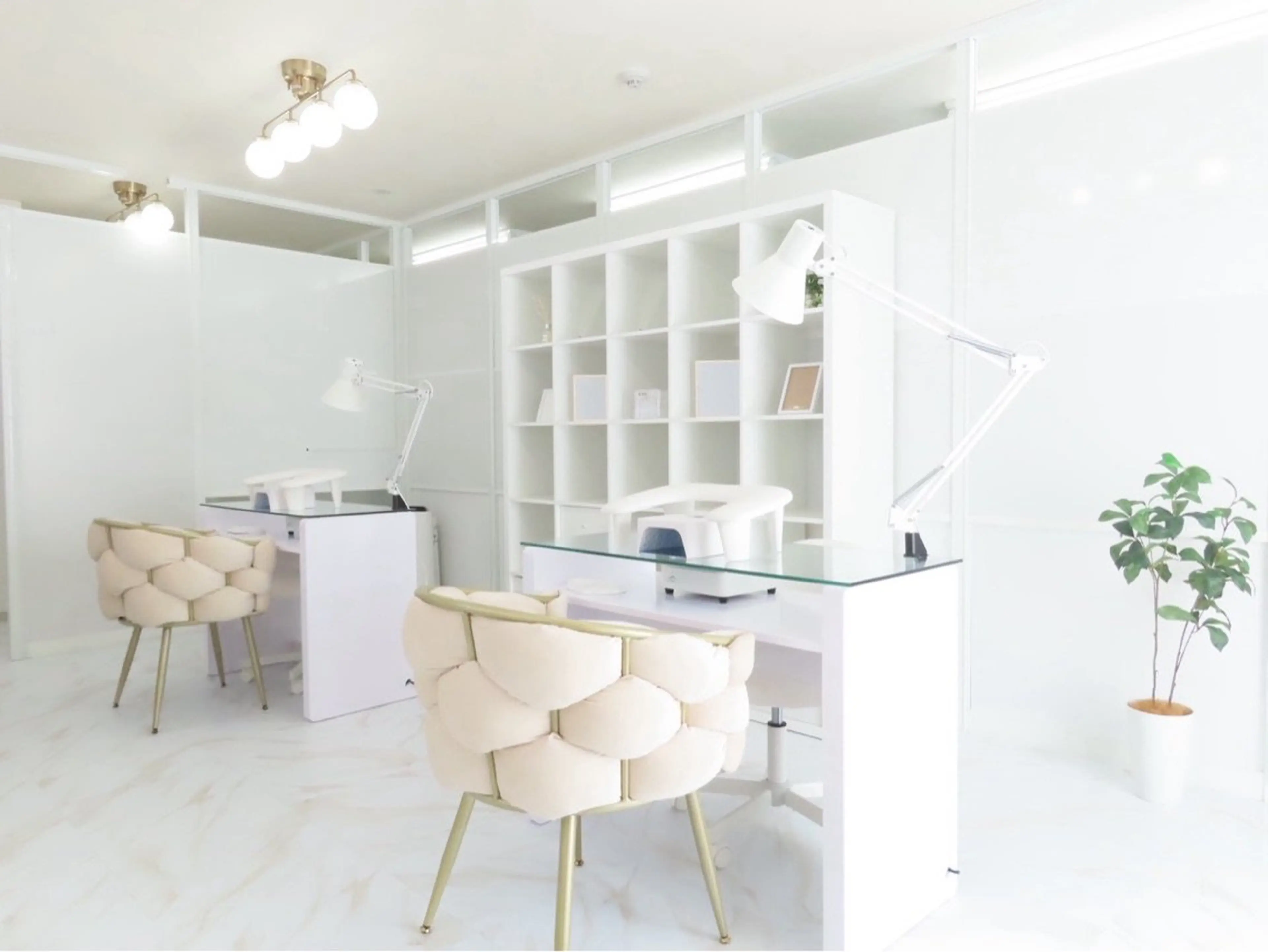 Puella【プエラ】の内観・外観1