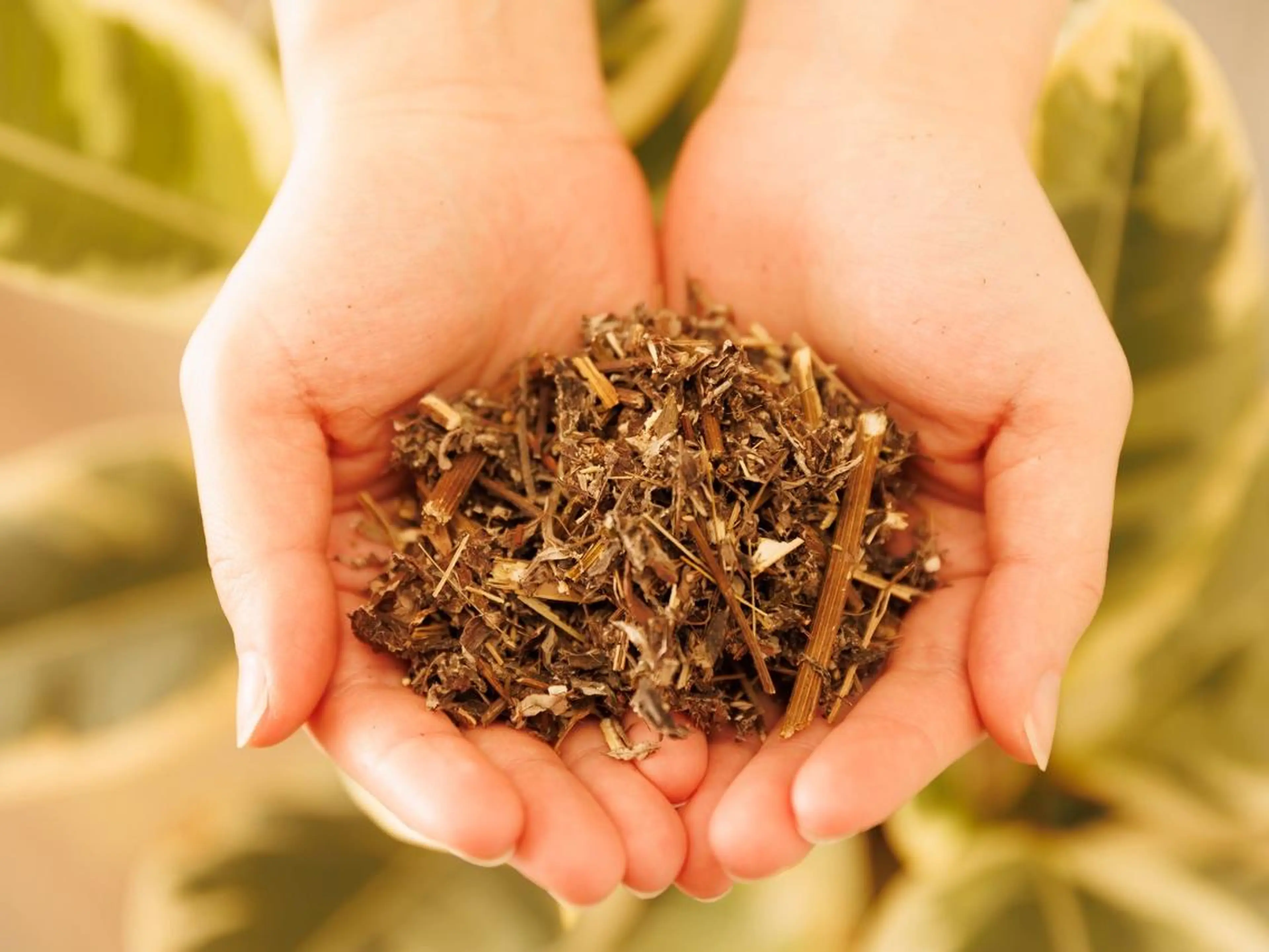 よもぎ蒸し TOWA大宮のエステ・リラクイメージ