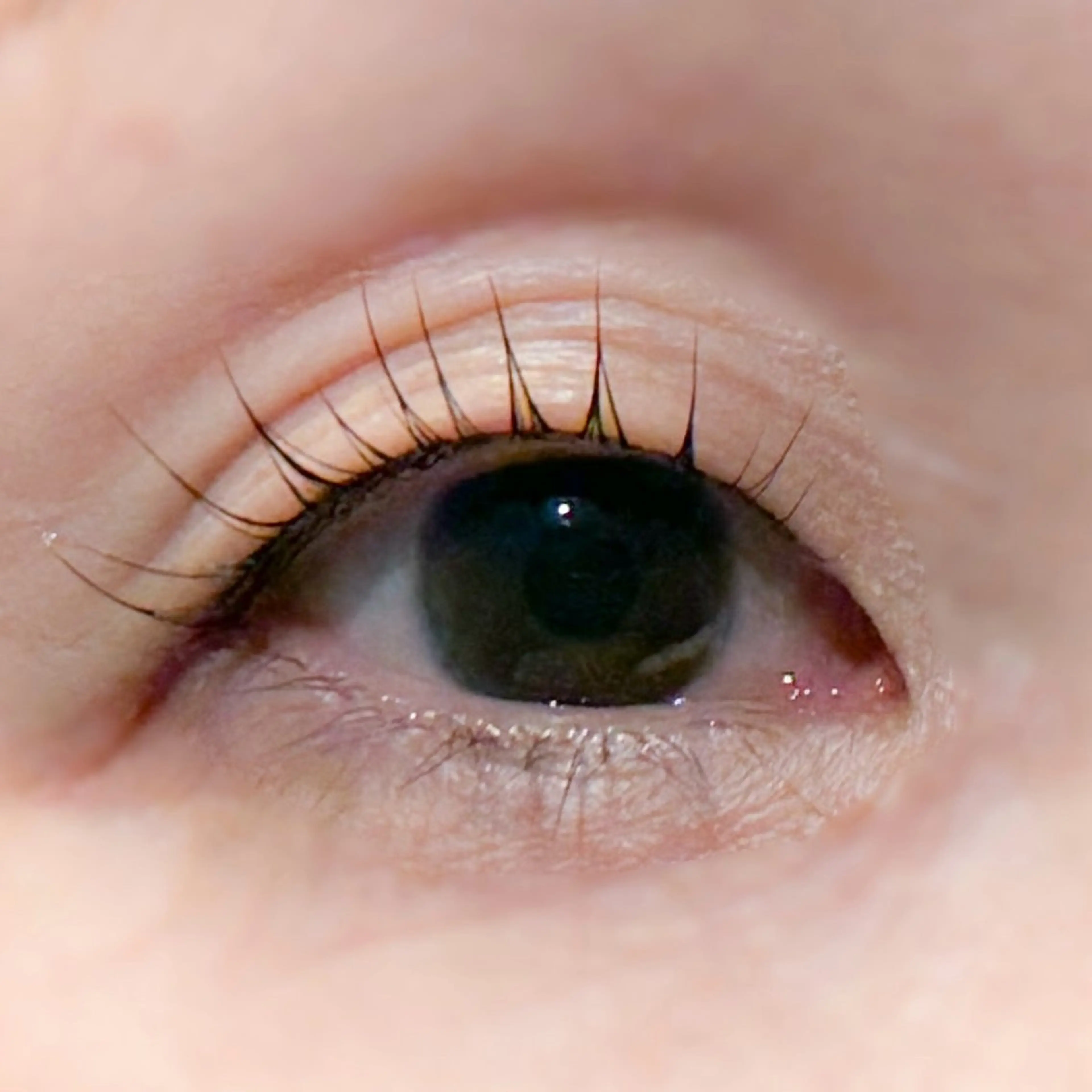 マツエク・マツパ まつげパーマ 飯田/Tomo's HairDesignのマツエク・マツパデザイン