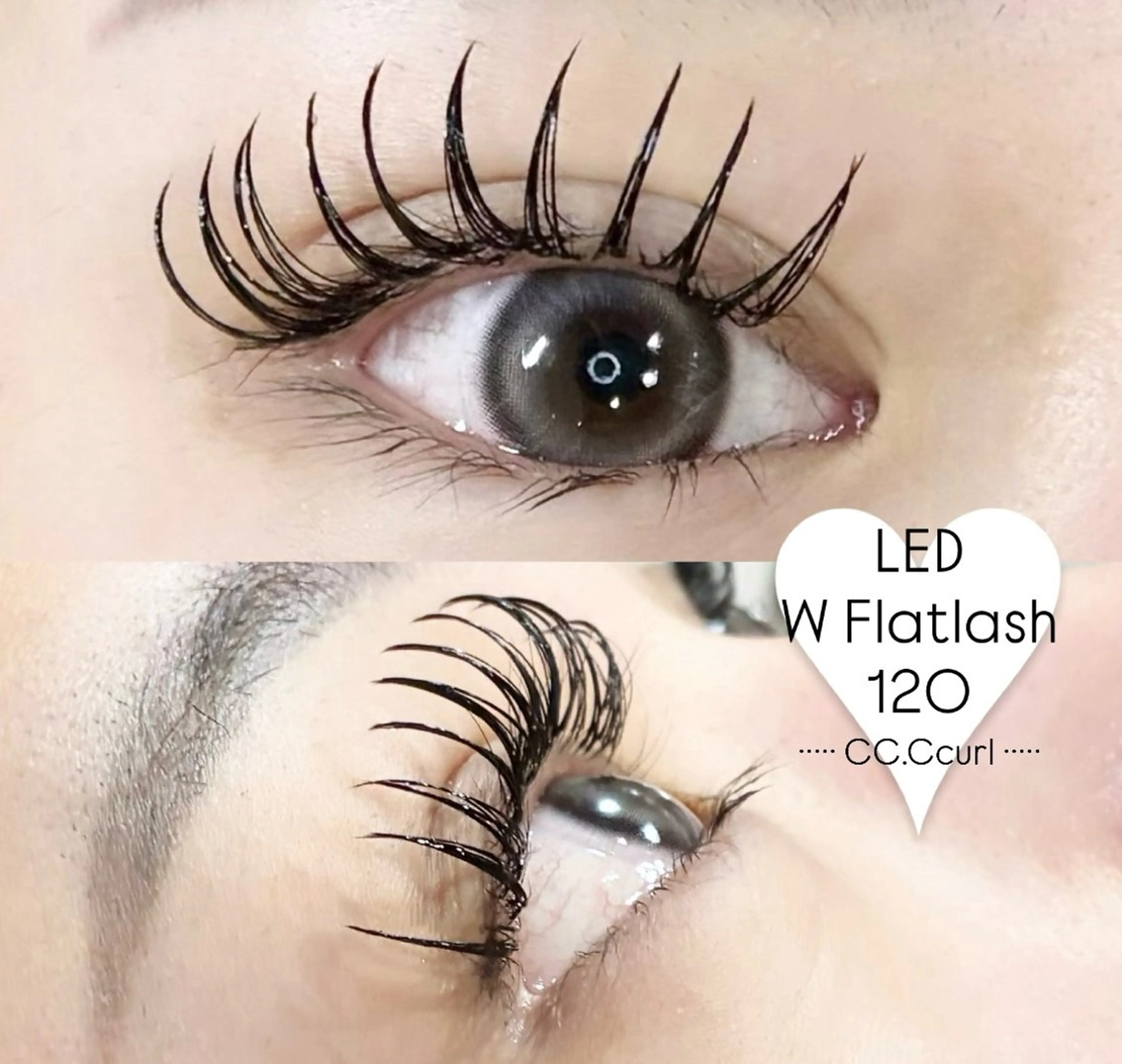 マツエク・マツパ マツエク LEDエクステ専門店 Fedis 京橋のマツエク・マツパデザイン