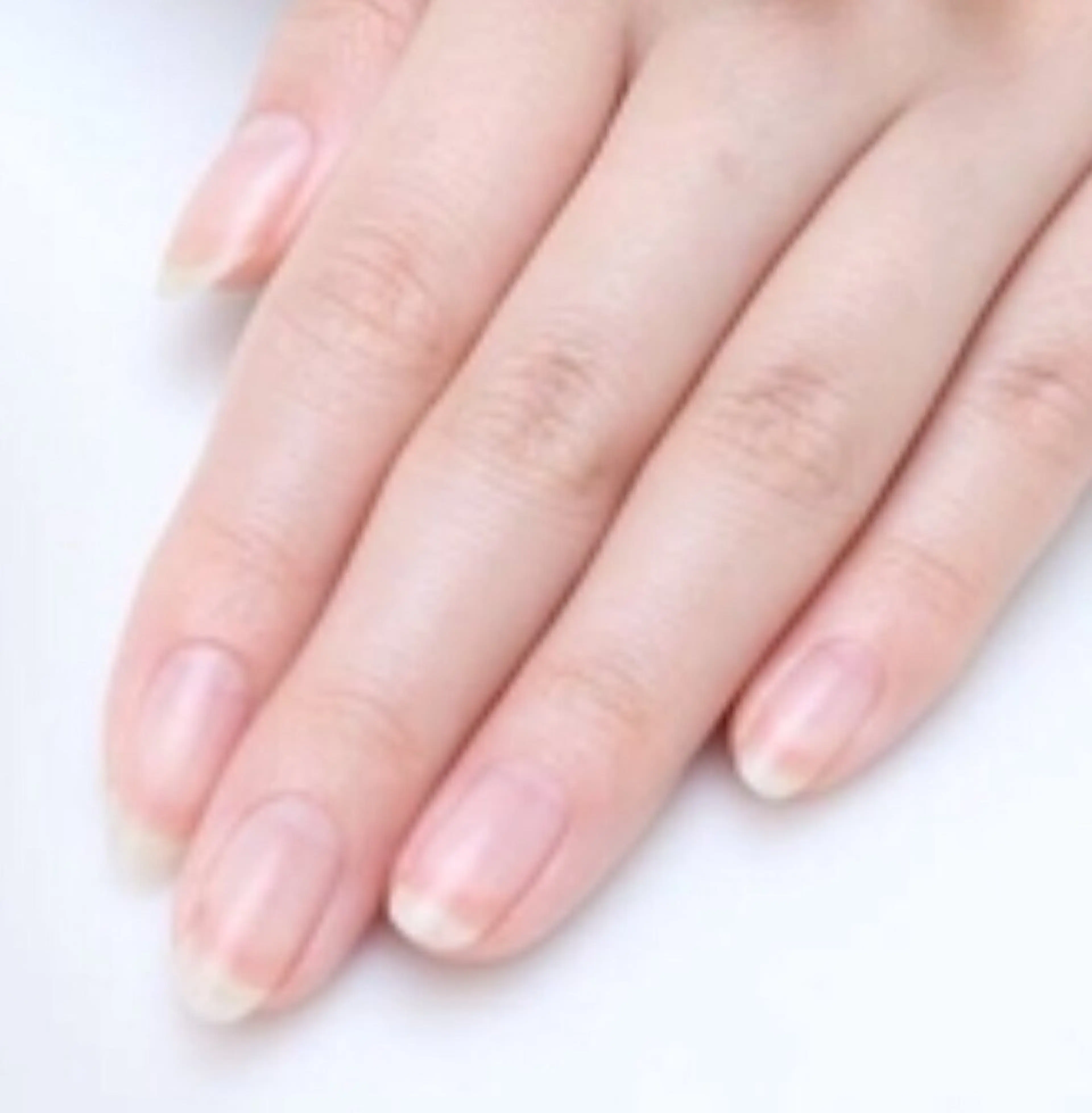 ネイル folche博多💅 ⭐️💄古閑🎀🦋のエステ・リラクイメージ