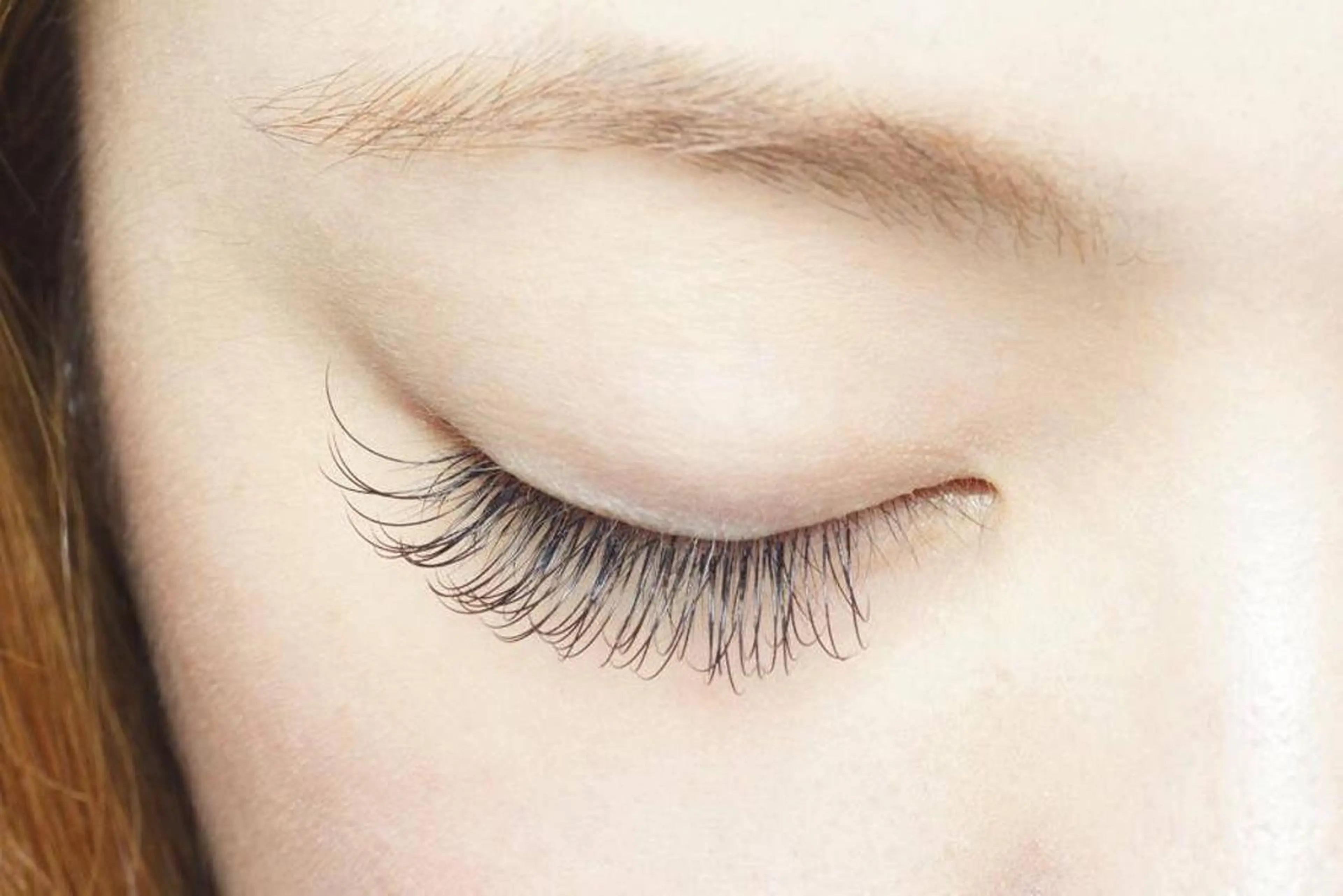 フラットラッシュ《140本🌻 》の写真